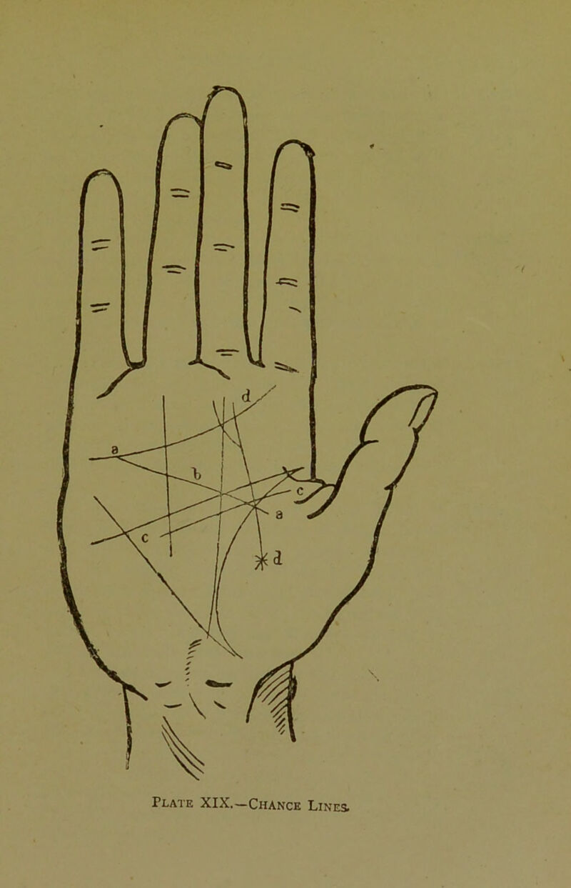 Plate XIX.-Chance Lines.