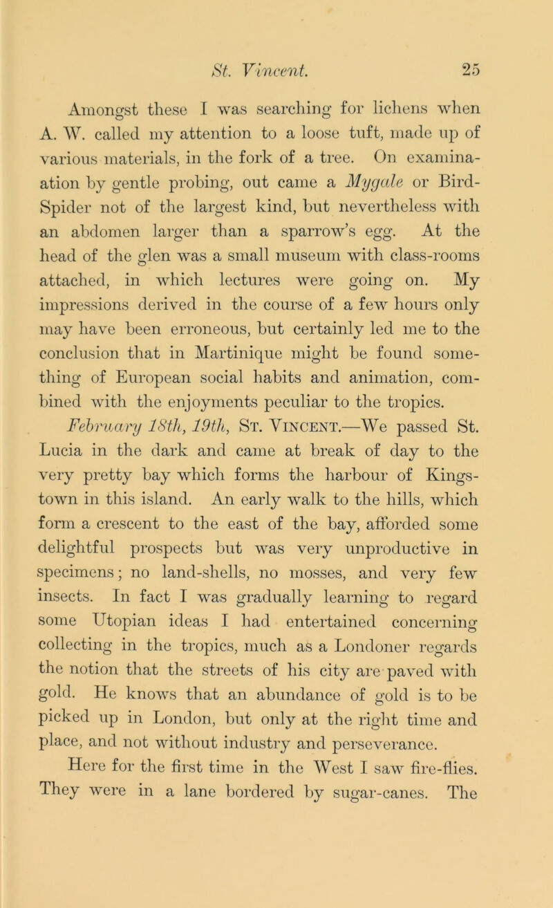 Amongst these I was searching for lichens when A. W. called my attention to a loose tuft, made up of various materials, in the fork of a tree. On examina- ation by gentle probing, out came a Mygale or Bird- Spider not of the largest kind, but nevertheless with an abdomen larger than a sparrow’s egg. At the head of the glen was a small museum with class-rooms attached, in which lectures were going on. My impressions derived in the course of a few hours only may have been erroneous, but certainly led me to the conclusion that in Martinique might be found some- thing of European social habits and animation, com- bined with the enjoyments peculiar to the tropics. February 18th, 19th, St. Vincent.—We passed St. Lucia in the dark and came at break of day to the very pretty bay which forms the harbour of Kings- town in this island. An early walk to the hills, which form a crescent to the east of the bay, afforded some delightful prospects but was very unproductive in specimens; no land-shells, no mosses, and very few insects. In fact I was gradually learning to regard some Utopian ideas I had entertained concerning collecting in the tropics, much as a Londoner regards the notion that the streets of his city are paved with gold. He knows that an abundance of gold is to be picked up in London, but only at the right time and place, and not without industry and perseverance. Here for the first time in the West I saw fire-flies. They were in a lane bordered by sugar-canes. The