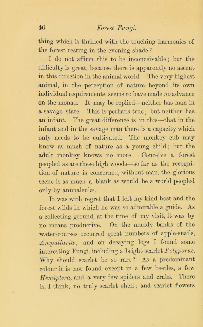thing which is thrilled with the touching harmonies of the forest resting in the evening shade ? I do not affirm this to be inconceivable; but the difficulty is great, because there is apparently no ascent in this direction in the animal world. The very highest animal, in the perception of nature beyond its own individual requirements, seems to have made no advance on the monad. It may be replied—neither has man in a savage state. This is perhaps true; but neither has an infant. The great difference is in this—that in the infant and in the savage man there is a capacity which only needs to be cultivated. The monkey cub may know as much of nature as a young child; but the adult monkey knows no more. Conceive a forest peopled as are these high woods—so far as the recogni- tion of nature is concerned, without man, the glorious scene is as much a blank as would be a world peopled only by animalcule. It was with regret that I left my kind host and the forest wilds in which he was so admirable a guide. As a collecting ground, at the time of my visit, it was by no means productive. On the muddy banks of the water-courses occurred great numbers of apple-snails, Ampullaria; and on decaying logs I found some interesting Fungi, including a bright scarlet Polyporus. Why should scarlet be so rare? As a predominant colour it is not found except in a few beetles, a few Hemiptera, and a very few spiders and crabs. There is, I think, no truly scarlet shell; and scarlet flowers