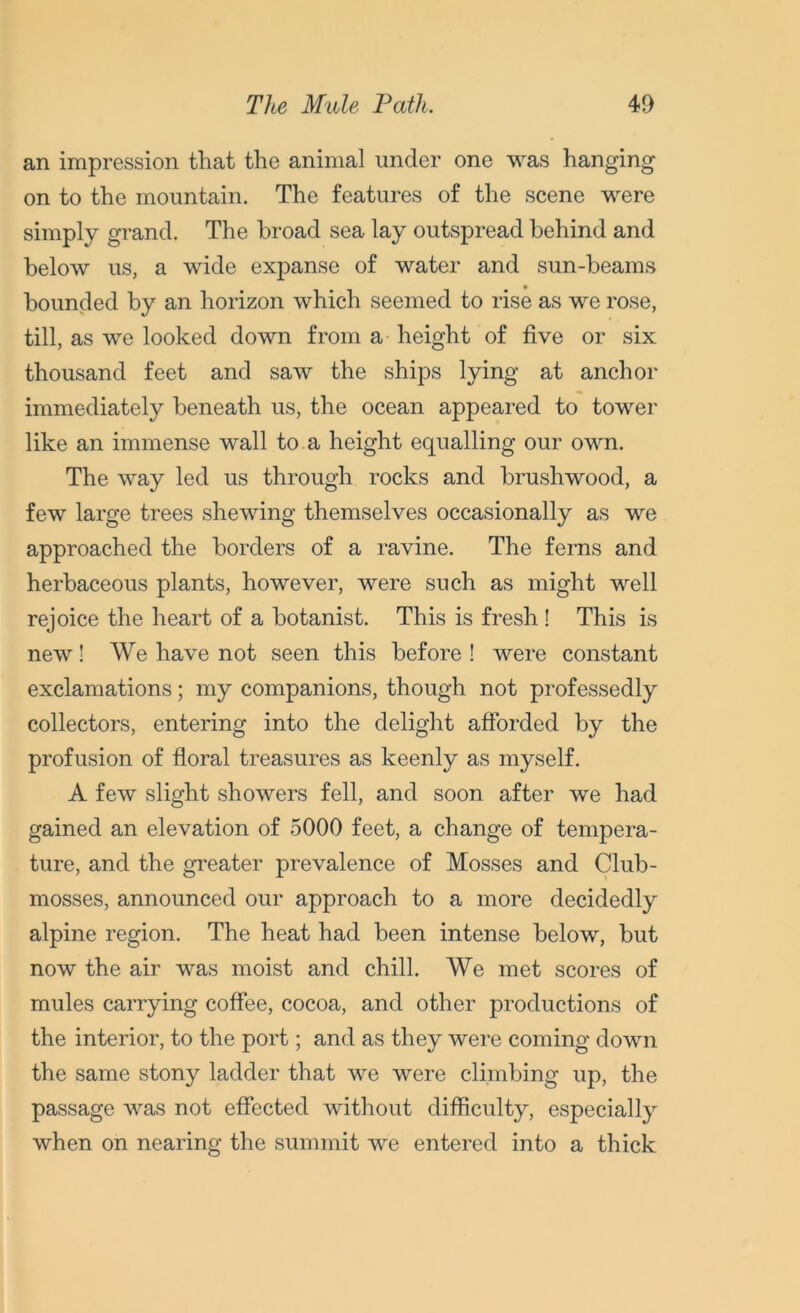 an impression that the animal under one was hanging- on to the mountain. The features of the scene were simply grand. The broad sea lay outspread behind and below us, a wide expanse of water and sun-beams bounded by an horizon which seemed to rise as we rose, till, as we looked down from a height of five or six thousand feet and saw the ships lying at anchor immediately beneath us, the ocean appeared to tower like an immense wall to a height equalling our own. The way led us through rocks and brushwood, a few large trees shewing themselves occasionally as we approached the borders of a ravine. The ferns and herbaceous plants, however, were such as might well rejoice the heart of a botanist. This is fresh ! This is new! We have not seen this before ! were constant exclamations; my companions, though not professedly collectors, entering into the delight afforded by the profusion of floral treasures as keenly as myself. A few slight showers fell, and soon after we had gained an elevation of 5000 feet, a change of tempera- ture, and the greater prevalence of Mosses and Club- mosses, announced our approach to a more decidedly alpine region. The heat had been intense below, but now the air was moist and chill. We met scores of mules carrying coffee, cocoa, and other productions of the interior, to the port; and as they were coming down the same stony ladder that we were climbing up, the passage was not effected without difficulty, especially when on nearing the summit we entered into a thick