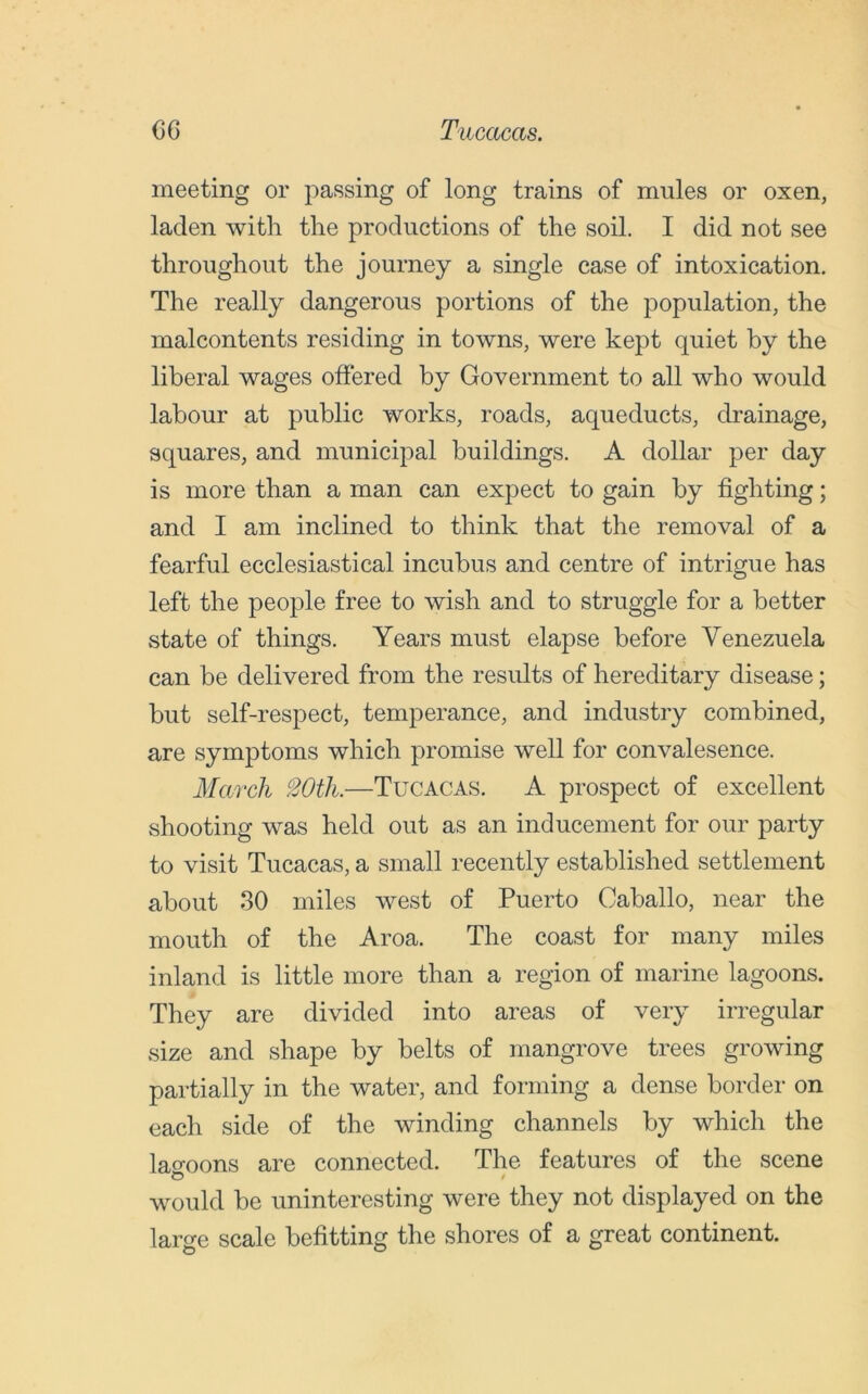 meeting or passing of long trains of mules or oxen, laden with the productions of the soil. I did not see throughout the journey a single case of intoxication. The really dangerous portions of the population, the malcontents residing in towns, were kept quiet by the liberal wages offered by Government to all who would labour at public works, roads, aqueducts, drainage, squares, and municipal buildings. A dollar per day is more than a man can expect to gain by fighting; and I am inclined to think that the removal of a fearful ecclesiastical incubus and centre of intrigue has left the people free to wish and to struggle for a better state of things. Years must elapse before Venezuela can be delivered from the results of hereditary disease; but self-respect, temperance, and industry combined, are symptoms which promise well for convalesence. March 20th.—Tucacas. A prospect of excellent shooting was held out as an inducement for our party to visit Tucacas, a small recently established settlement about 30 miles west of Puerto Caballo, near the mouth of the Aroa. The coast for many miles inland is little more than a region of marine lagoons. They are divided into areas of very irregular size and shape by belts of mangrove trees growing partially in the water, and forming a dense border on each side of the winding channels by which the lao-oons are connected. The features of the scene would be uninteresting were they not displayed on the large scale befitting the shores of a great continent.