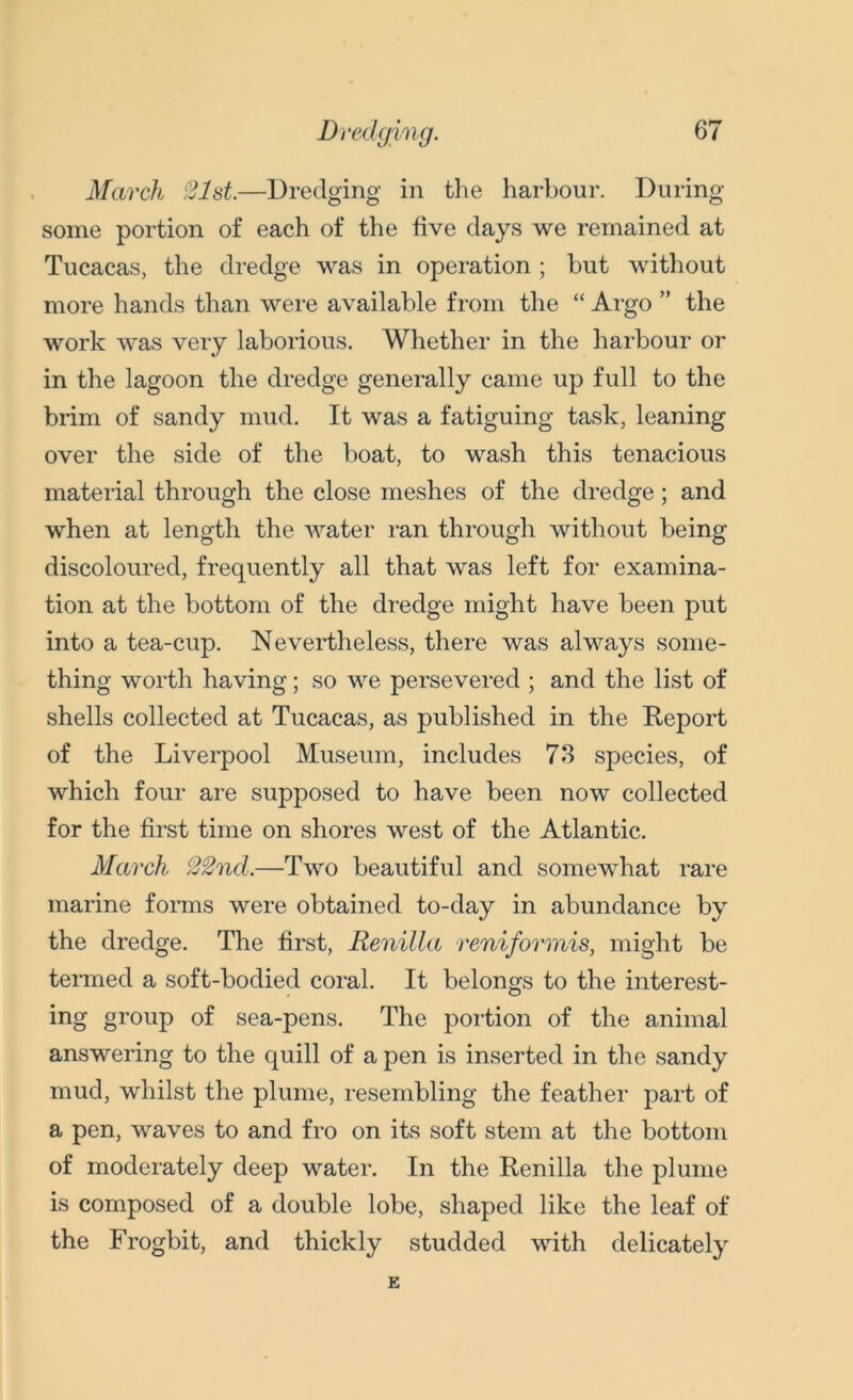 March <21st.—Dredging in the harbour. During some portion of each of the five days we remained at Tucacas, the dredge was in operation ; hut without more hands than were available from the “ Argo ” the work was very laborious. Whether in the harbour or in the lagoon the dredge generally came up full to the brim of sandy mud. It was a fatiguing task, leaning over the side of the boat, to wash this tenacious material through the close meshes of the dredge; and when at length the water ran through without being discoloured, frequently all that was left for examina- tion at the bottom of the dredge might have been put into a tea-cup. Nevertheless, there was always some- thing worth having; so we persevered ; and the list of shells collected at Tucacas, as published in the Report of the Liverpool Museum, includes 73 species, of which four are supposed to have been now collected for the first time on shores west of the Atlantic. March 22ncl.—Two beautiful and somewhat rare marine forms were obtained to-day in abundance by the dredge. The first, Renilla reniformis, might be termed a soft-bodied coral. It belongs to the interest- ing group of sea-pens. The portion of the animal answering to the quill of a pen is inserted in the sandy mud, whilst the plume, resembling the feather part of a pen, waves to and fro on its soft stem at the bottom of moderately deep water. In the Renilla the plume is composed of a double lobe, shaped like the leaf of the Frogbit, and thickly studded with delicately E