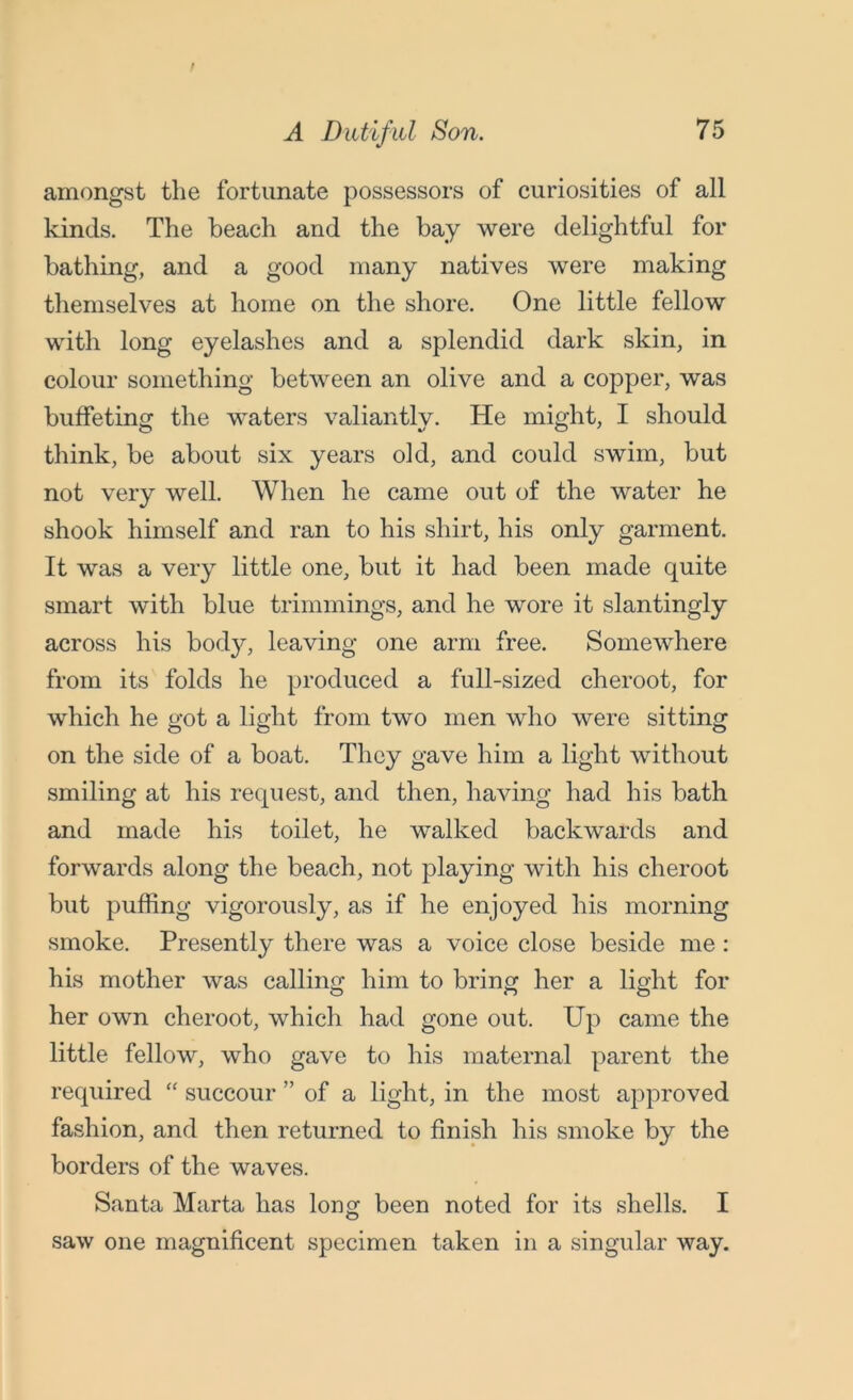 amongst the fortunate possessors of curiosities of all kinds. The beach and the bay were delightful for bathing, and a good many natives were making themselves at home on the shore. One little fellow with long eyelashes and a splendid dark skin, in colour something between an olive and a copper, was buffeting the waters valiantly. He might, I should think, be about six years old, and could swim, but not very well. When he came out of the water he shook himself and ran to his shirt, his only garment. It was a very little one, but it had been made quite smart with blue trimmings, and he wore it slantingly across his body, leaving one arm free. Somewhere from its folds he produced a full-sized cheroot, for which he got a light from two men who were sitting on the side of a boat. They gave him a light without smiling at his request, and then, having had his bath and made his toilet, he walked backwards and forwards along the beach, not playing with his cheroot but puffing vigorously, as if he enjoyed his morning smoke. Presently there was a voice close beside me: his mother was calling him to bring her a light for her own cheroot, which had gone out. Up came the little fellow, who gave to his maternal parent the required “ succour ” of a light, in the most approved fashion, and then returned to finish his smoke by the borders of the waves. Santa Marta has long been noted for its shells. I saw one magnificent specimen taken in a singular way.