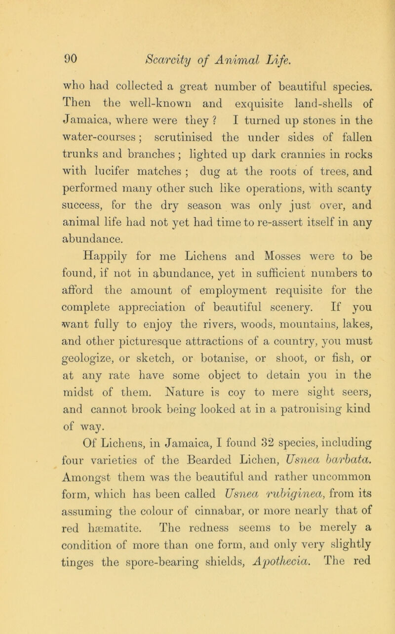 who had collected a great number of beautiful species. Then the well-known and exquisite land-shells of Jamaica, where were they ? I turned up stones in the water-courses; scrutinised the under sides of fallen trunks and branches; lighted up dark crannies in rocks with lucifer matches ; dug at the roots of trees, and performed many other such like operations, with scanty success, for the dry season was only just over, and animal life had not yet had time to re-assert itself in any abundance. Happily for me Lichens and Mosses were to be found, if not in abundance, yet in sufficient numbers to afford the amount of employment requisite for the complete appreciation of beautiful scenery. If you want fully to enjoy the rivers, woods, mountains, lakes, and other picturesque attractions of a country, you must geologize, or sketch, or botanise, or shoot, or fish, or at any rate have some object to detain you in the midst of them. Nature is coy to mere sight seers, and cannot brook being looked at in a patronising kind of way. Of Lichens, in Jamaica, I found 32 species, including four varieties of the Bearded Lichen, Usnea barbata. Amongst them was the beautiful and rather uncommon form, which has been called Usnea rubiginea, from its assuming the colour of cinnabar, or more nearly that of red haematite. The redness seems to be merely a condition of more than one form, and only very slightly tinges the spore-bearing shields, Apothecia. The red