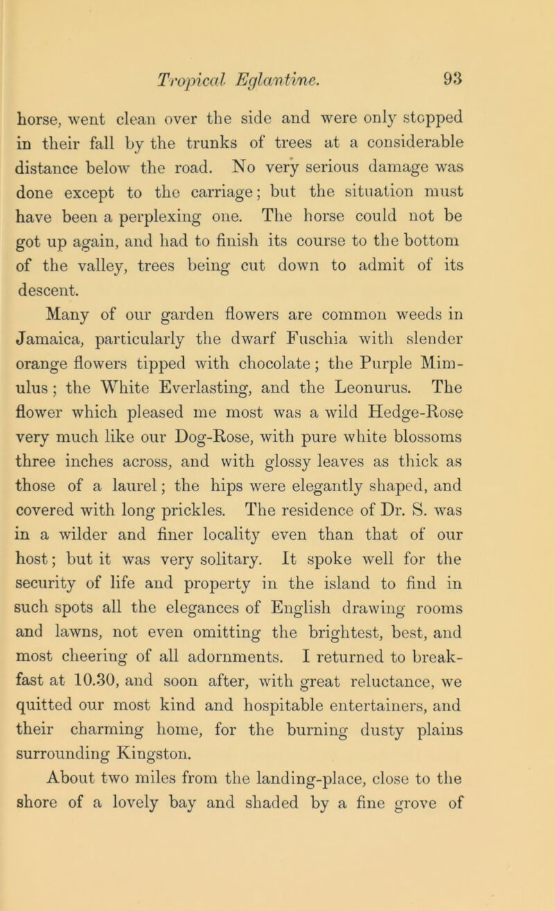horse, went clean over the side and were only stopped in their fall by the tranks of trees at a considerable distance below the road. No very serious damage was done except to the carriage; but the situation must have been a perplexing one. The horse could not be got up again, and had to finish its course to the bottom of the valley, trees being cut down to admit of its descent. Many of our garden flowers are common weeds in Jamaica, particularly the dwarf Fuschia with slender orange flowers tipped with chocolate; the Purple Mim- ulus; the White Everlasting, and the Leonurus. The flower which pleased me most was a wild Hedge-Rose very much like our Dog-Rose, with pure white blossoms three inches across, and with glossy leaves as thick as those of a laurel; the hips were elegantly shaped, and covered with long prickles. The residence of Dr. S. was in a wilder and finer locality even than that of our host; but it was very solitary. It spoke well for the security of life and property in the island to find in such spots all the elegances of English drawing rooms and lawns, not even omitting the brightest, best, and most cheering of all adornments. I returned to break- fast at 10.30, and soon after, with great reluctance, we quitted our most kind and hospitable entertainers, and their charming home, for the burning dusty plains surrounding Kingston. About two miles from the landing-place, close to the shore of a lovely bay and shaded by a fine grove of