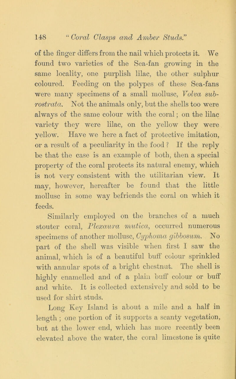 of the finger differs from the nail which protects it. We found two varieties of the Sea-fan growing in the o o same locality, one purplish lilac, the other sulphur coloured. Feeding on the polypes of these Sea-fans were many specimens of a small mollusc, Volva sub- rostrata. Not the animals only, hut the shells too were always of the same colour with the coral; on the lilac variety they were lilac, on the yellow they were yellow. Have we here a fact of protective imitation, or a result of a peculiarity in the food ? If the reply be that the case is an example of both, then a special property of the coral protects its natural enemy, which is not very consistent with the utilitarian view. It may, however, hereafter be found that the little mollusc in some way befriends the coral on which it feeds. Similarly employed on the branches of a much stouter coral, Plexaura mutica, occurred numerous specimens of another mollusc, Cyplioma gibbosum. No part of the shell was visible when first I saw the animal, which is of a beautiful buff colour sprinkled with annular spots of a bright chestnut. The shell is highly enamelled and of a plain buff colour or buff and white. It is collected extensively and sold to be used for shirt studs. Long Key Island is about a mile and a half in length ; one portion of it supports a scanty vegetation, but at the lower end, which has more recently been elevated above the water, the coral limestone is quite