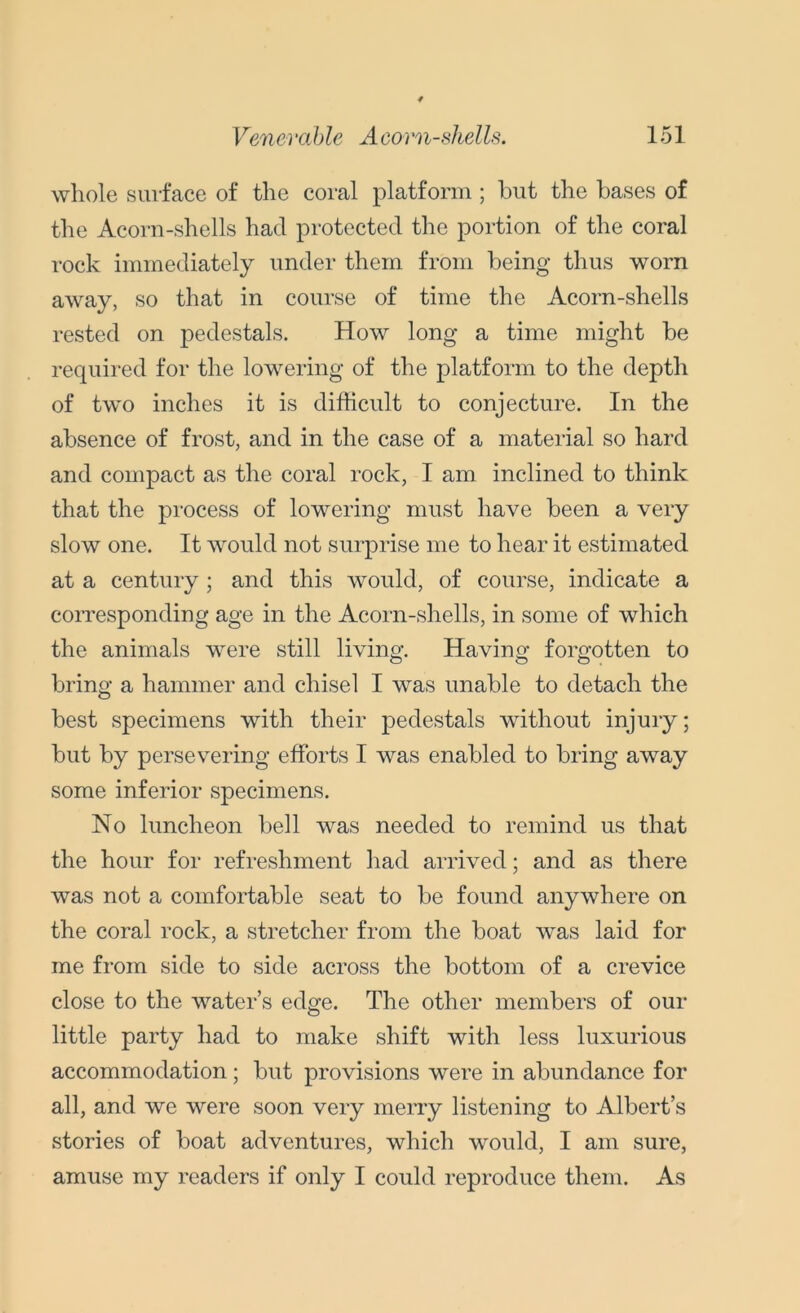 whole surface of the coral platform ; hut the bases of the Acorn-shells had protected the portion of the coral rock immediately under them from being thus worn away, so that in course of time the Acorn-shells rested on pedestals. How long a time might be required for the lowering of the platform to the depth of two inches it is difficult to conjecture. In the absence of frost, and in the case of a material so hard and compact as the coral rock, I am inclined to think that the process of lowering must have been a very slow one. It would not surprise me to hear it estimated at a century; and this would, of course, indicate a corresponding age in the Acorn-shells, in some of which the animals were still living. Having forgotten to bring a hammer and chisel I was unable to detach the best specimens with their pedestals without injury; but by persevering efforts I was enabled to bring away some inferior specimens. No luncheon bell was needed to remind us that the hour for refreshment had arrived; and as there was not a comfortable seat to be found anywhere on the coral rock, a stretcher from the boat was laid for me from side to side across the bottom of a crevice close to the water’s edge. The other members of our little party had to make shift with less luxurious accommodation; but provisions were in abundance for all, and we were soon very merry listening to Albert’s stories of boat adventures, which would, I am sure, amuse my readers if only I could reproduce them. As