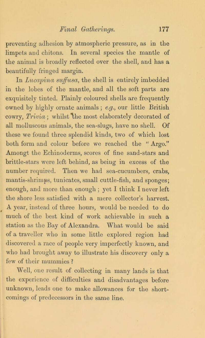 preventing adhesion by atmospheric pressure, as in the limpets and chitons. In several species the mantle of the animal is broadly reflected over the shell, and has a beautifully fringed margin. In Lucapina stiffusa, the shell is entirely imbedded in the lobes of the mantle, and all the soft parts are exquisitely tinted. Plainly coloured shells are frequently owned by highly ornate animals ; e.g., our little British cowry, Trivia; whilst the most elaborately decorated of all molluscous animals, the sea-slugs, have no shell. Of these we found three splendid kinds, two of which lost both form and colour before we reached the “ Argo.” Amongt the Echinoderms, scores of fine sand-stars and brittle-stars were left behind, as being in excess of the number required. Then we had sea-cucumbers, crabs, mantis-shrimps, tunicates, small cuttle-fish, and sponges; enough, and more than enough ; yet I think I never left the shore less satisfied with a mere collector’s harvest. A year, instead of three hours, would be needed to do much of the best kind of work achievable in such a station as the Bay of Alexandra. What would be said of a traveller who in some little explored region had discovered a race of people very imperfectly known, and who had brought away to illustrate his discovery only a few of their mummies ? Well, one result of collecting in many lands is that the experience of difficulties and disadvantages before unknown, leads one to make allowances for the short- comings of predecessors in the same line.
