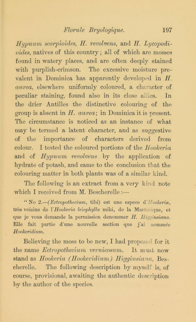 Hypnum scorpioides, H. revolvens, and II. Lycopodi- oides, natives of this country; all of which are mosses found in watery places, and are often deeply stained with purplish-crimson. The excessive moisture pre- valent in Dominica has apparently developed in II. aurea, elsewhere uniformly coloured, a character of peculiar staining, found also in its close allies. In the drier Antilles the distinctive colouring of the group is absent in H. aurea; in Dominica it is present. The circumstance is noticed as an instance of what may be termed a latent character, and as suggestive of the importance of characters derived from colour. I tested the coloured portions of the HooJceria and of Hypnum revolvens by the application of hydrate of potash, and came to the conclusion that the colouring matter in both plants was of a similar kind. The following is an extract from a very kind note which I received from M. Bescherelle:— “ No 2.—(Ectropothecium, tibi) est une espece d'ZfookeriaT tres voisine de YIlookeria leiophylla mihi, de la Martinique, et que je vous demande la permission denommer H. Higginsiana. Elle fait partie d’une nouvelle section que j’ai nominee Hooheridium. Believing the moss to be new, I had proposed for it the name Ectropothecium vernicosum. It must now stand as HooJceria (HooJceridium) Higginsiana, Bes- cherelle. The following description by myself is, of course, provisional, awaiting the authentic description by the author of the species.