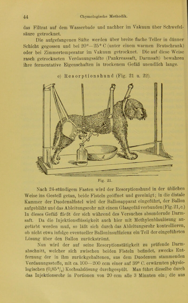 das Filtrat auf dem Wasserbade und nachher im Vakuum über Schwefel- säure getrocknet. Die aufgefangenen Säfte werden über breite flache Teller in dünner Schicht gegossen und bei 20—25® C (unter einem warmen Brutschrank) oder bei Zimmertemperatur im Vakuum getrocknet. Die auf diese Weise rasch getrockneten Verdauungssäfte (Pankreassaft, Darmsaft) bewahren ihre fermentative Eigenschaften in trockenem Gefäß unendlich lange. e) Resorptionshund (Fig. 21 u. 22). Fig. 21. Nach 24-stündigem Fasten wird der Resorptionshund in der üblichen Weise ins Gestell getan, beide Fisteln geöffnet und gereinigt; in die distale Kammer der Duodenalfistel wird der Ballonapparat eingeführt, der Ballon aufgebläht und das Ableitungsrohr mit einem Glasgefäß verbunden (Fig. 2 l,c.) In dieses Gefäß fließt der sich während des Versuches absondernde Darni- saft. Da die Injektionsflüssigkeit auch hier mit Methylenblaulösung an- gefärbt werden muß, so läßt sich durch das Ableitungsrohr kontrollieren, ob nichtetwainfolge eventueller Balloninsuffizienz ein Teil der eingeführten Lösung über den Ballon zurückströmt. Nun wird der auf seine Resorptionstätigkeit zu prüfende Darm- abschnitt, welcher sich zwischen beiden Fisteln befindet, zwecks Ent- fernung der in ihm zurückgehaltenen, aus dem Duodenum stammenden Verdauungsstoffe, mit ca. 100—200 ccm einer auf 89 C. erwärmten physio- logischen (0,85 /j,) Kochsalzlösung durchgesj)ült. Man führt dieselbe durch das Injektionsrohr in Portionen von 20 ccm alle 8 Minuten ein; die aus