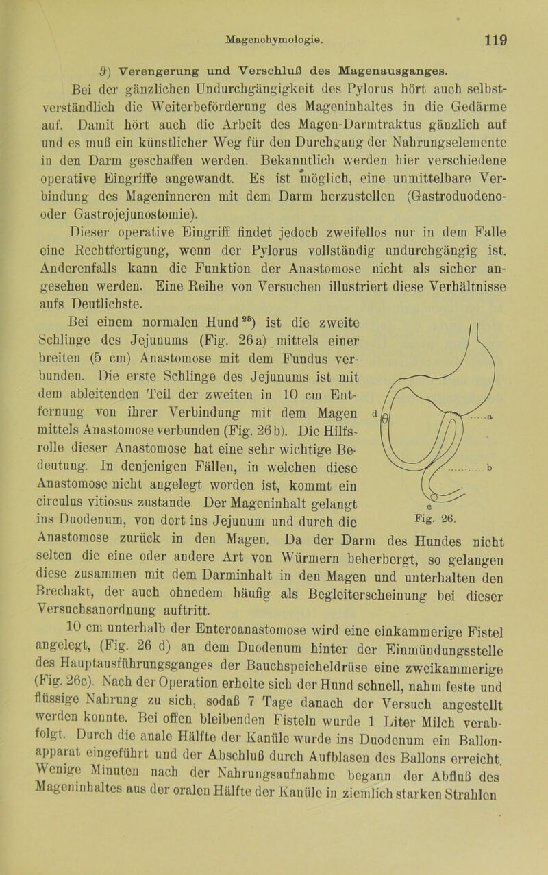 d-) Vei’engerung und Verschluß des Magenausganges. Bei der g-änzlichen Undurchgängigkeit des Pylorus hört auch selbst- vei'ständiich die Weiterbeförderung des Mageninhaltes in die Gedärme auf. üainit hört auch die Arbeit des Magen-Darnitraktus gänzlich auf und es muß ein künstlicher Weg für den Durchgang der Nahrungselemente in den Darm geschaffen werden. Bekanntlich werden hier verschiedene operative Eingriffe angewandt. Es ist möglich, eine unmittelbare Ver- bindung des Mageninneren mit dem Darm herzustellen (Gastroduodeno- oder Gastrojejunostomie). Dieser operative Eingriff findet jedoch zweifellos nur in dem Falle eine Rechtfertigung, wenn der Pylorus vollständig undurchgängig ist. Anderenfalls kann die Punktion der Anastomose nicht als sicher an- gesehen werden. Eine Reihe von Versuchen illustriert diese Verhältnisse aufs Deutlichste. Bei einem normalen Hund ist die zweite Schlinge des Jejunums (Fig. 26 a) mittels einer breiten (5 cm) Anastomose mit dem Fundus ver- bunden. Die erste Schlinge des Jejunums ist mit dem ableitenden Teil der zweiten in 10 cm Ent- fernung von ihrer Verbindung mit dem Magen mittels Anastomose verbunden (Fig. 26 b). Die Hilfs- rolle dieser Anastomose hat eine sehr wichtige Be- deutung. In denjenigen Fällen, in welchen diese Anastomose nicht angelegt worden ist, kommt ein Circulus vitiosus zustande. Der Mageninhalt gelangt ins Duodenum, von dort ins Jejunum und durch die Anastomose zurück in den Magen, Da der Darm des Hundes nicht selten die eine oder andere Art von Würmern beherbergt, so gelangen diese zusammen mit dem Darminhalt in den Magen und unterhalten den Brechakt, der auch ohnedem häufig als Begleiterscheinung bei dieser Versuchsanordnung auftritt. 10 cm unterhalb der Enteroanastomose wird eine einkammerige Fistel angelegt, (Fig. 26 d) an dem Duodenum hinter der Einmündungsstelle des Hauptausführungsganges der Bauchspeicheldrüse eine zweikammerige (big. 26c). Nach der Operation erholte sich der Hund schnell, nahm feste und flüssige Nahrung zu sich, sodaß 7 Tage danach der Versuch angestellt werden konnte. Bei offen bleibenden Fisteln wurde 1 Liter Milch verab- folgt. Durch die anale Hälfte der Kanüle wurde ins Duodenum ein Ballon- aj)parat eingeführt und der Abschluß durch Aufblasen des Ballons erreicht. Wenige Minuten nach der Nahrungsaufnahme begann der Abfluß des Mageninhaltes aus der oralen Hälfte der Kanüle in ziemlich starken Strahlen Fig. 26.