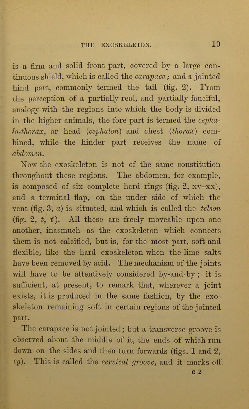 is a firm and solid front part, covered by a large con- tinuous shield, which is called the carapace; and a jointed hind part, commonly termed the tail (fig. 2). From the perception of a partially real, and partially fanciful, analogy with the regions into which the body is divided in the higher animals, the fore part is termed the cepha- lo-tliorax, or head (cephalon) and chest (thorax) com- bined, while the hinder part receives the name of abdomen. Now the exoskeleton is not of the same constitution throughout these regions. The abdomen, for example, is composed of six complete hard rings (fig. 2, xv-xx), and a terminal flap, on the under side of which the vent (fig. 8, a) is situated, and which is called the telson (fig. 2, t, t'). All these are freely moveable upon one another, inasmuch as the exoskeleton which connects them is not calcified, but is, for the most part, soft and flexible, like the hard exoskeleton when the lime salts have been removed by acid. The mechanism of the joints will have to be attentively considered by-and-by; it is sufficient, at present, to remark that, wherever a joint exists, it is produced in the same fashion, b}r the exo- skeleton remaining soft in certain regions of the jointed part. The carapace is not jointed; but a transverse groove is observed about the middle of it, the ends of which run down on the sides and then turn forwards (figs. 1 and 2, eg). This is called the cervical groove, and it marks off