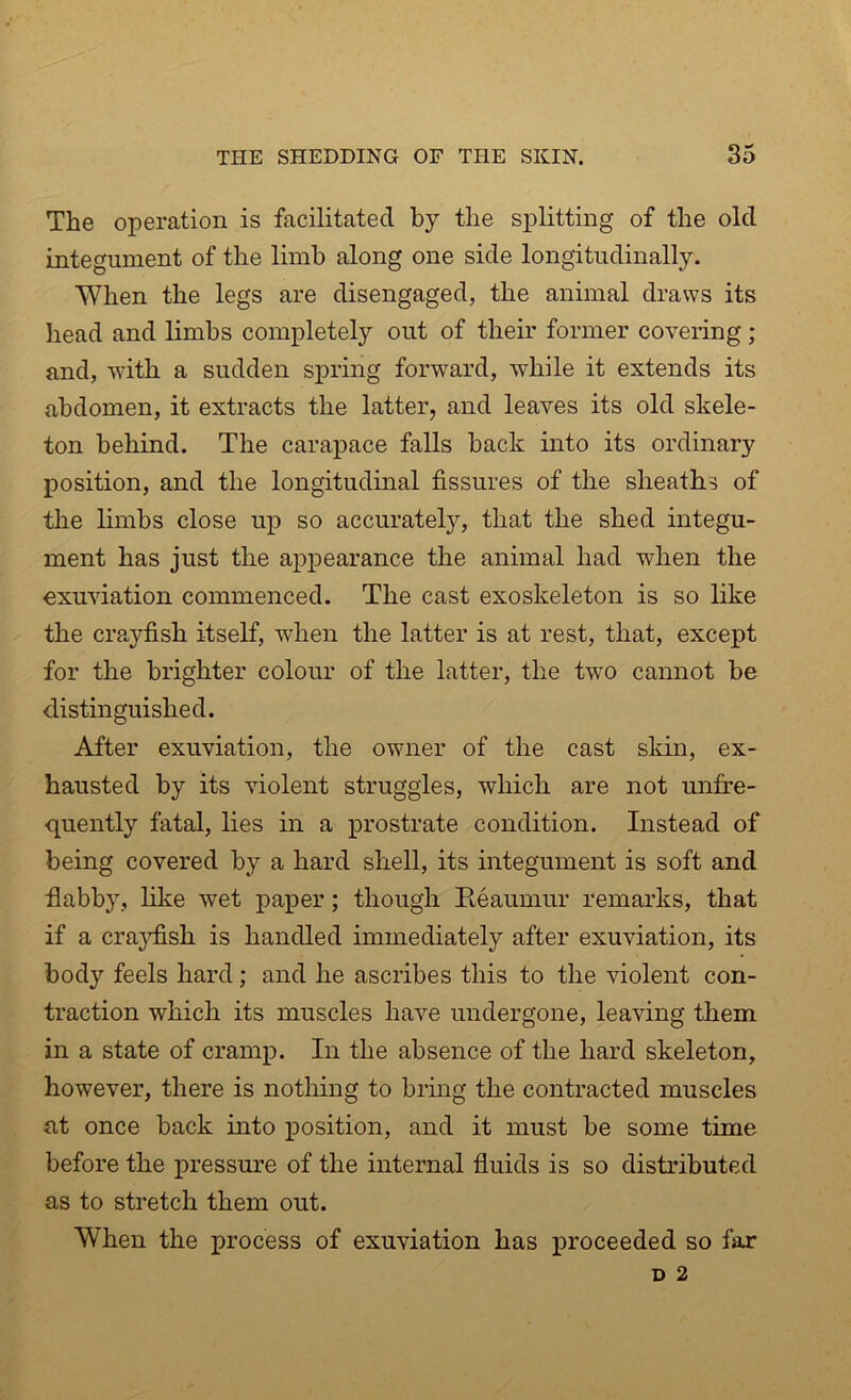 The operation is facilitated by the splitting of the old integument of the limb along one side longitudinally. When the legs are disengaged, the animal draws its head and limbs completely out of their former covering ; and, -with a sudden spring forward, while it extends its abdomen, it extracts the latter, and leaves its old skele- ton behind. The carapace falls back into its ordinary position, and the longitudinal fissures of the sheaths of the limbs close up so accurately, that the shed integu- ment has just the appearance the animal had when the exuviation commenced. The cast exoskeleton is so like the crayfish itself, when the latter is at rest, that, except for the brighter colour of the latter, the two cannot be distinguished. After exuviation, the owner of the cast skin, ex- hausted by its violent struggles, which are not unfre- quently fatal, lies in a prostrate condition. Instead of being covered by a hard shell, its integument is soft and flabby, like wet paper; though Heaumur remarks, that if a crayfish is handled immediately after exuviation, its body feels hard; and he ascribes this to the violent con- traction which its muscles have undergone, leaving them in a state of cramp. In the absence of the hard skeleton, however, there is nothing to bring the contracted muscles at once back into position, and it must be some time before the pressure of the internal fluids is so distributed as to stretch them out. When the process of exuviation has proceeded so far