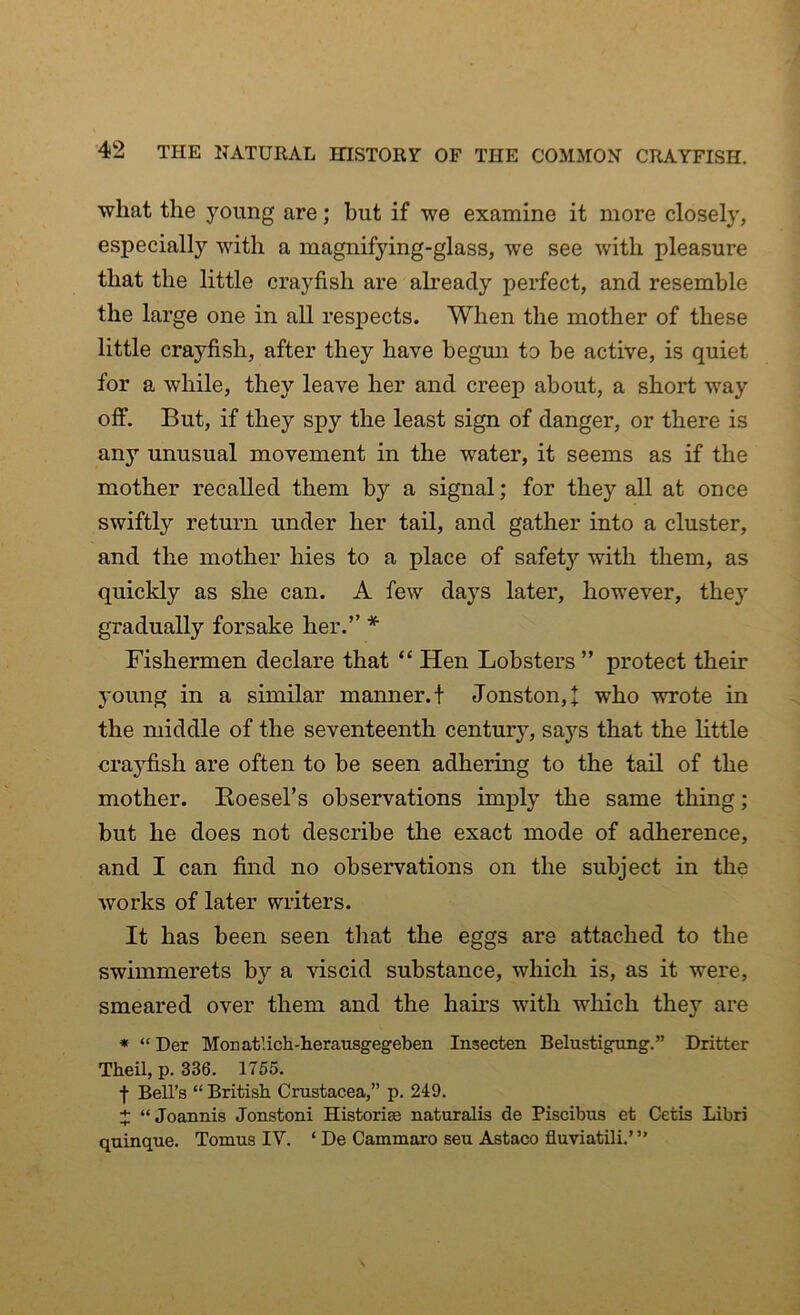 what the young are; but if we examine it more closely, especially with a magnifying-glass, we see with pleasure that the little crayfish are already perfect, and resemble the large one in all respects. When the mother of these little crayfish, after they have begun to be active, is quiet for a while, they leave her and creep about, a short way off. But, if they spy the least sign of danger, or there is any unusual movement in the water, it seems as if the mother recalled them by a signal; for they all at once swiftly return under her tail, and gather into a cluster, and the mother hies to a place of safety with them, as quickly as she can. A few days later, however, thejT gradually forsake her.” * Fishermen declare that “ Hen Lobsters ” protect their young in a similar manner, t Jonston,J who wrote in the middle of the seventeenth century, says that the little crayfish are often to be seen adhering to the tail of the mother. Boesel’s observations imply the same thing; but he does not describe the exact mode of adherence, and I can find no observations on the subject in the works of later writers. It has been seen that the eggs are attached to the swimmerets by a viscid substance, which is, as it were, smeared over them and the hairs with which they are * “ Der Monatlich-herausgegeben Insecten Belustigung.” Dritter Theil, p. 336. 1755. f Bell’s “ British Crustacea,” p. 249. + “ Joannis Jonstoni Historise naturalis de Piscibus et Cetis Libri quinque. Tomus IV. ‘ De Cammaro seu Astaco fiuviatili.’ ”