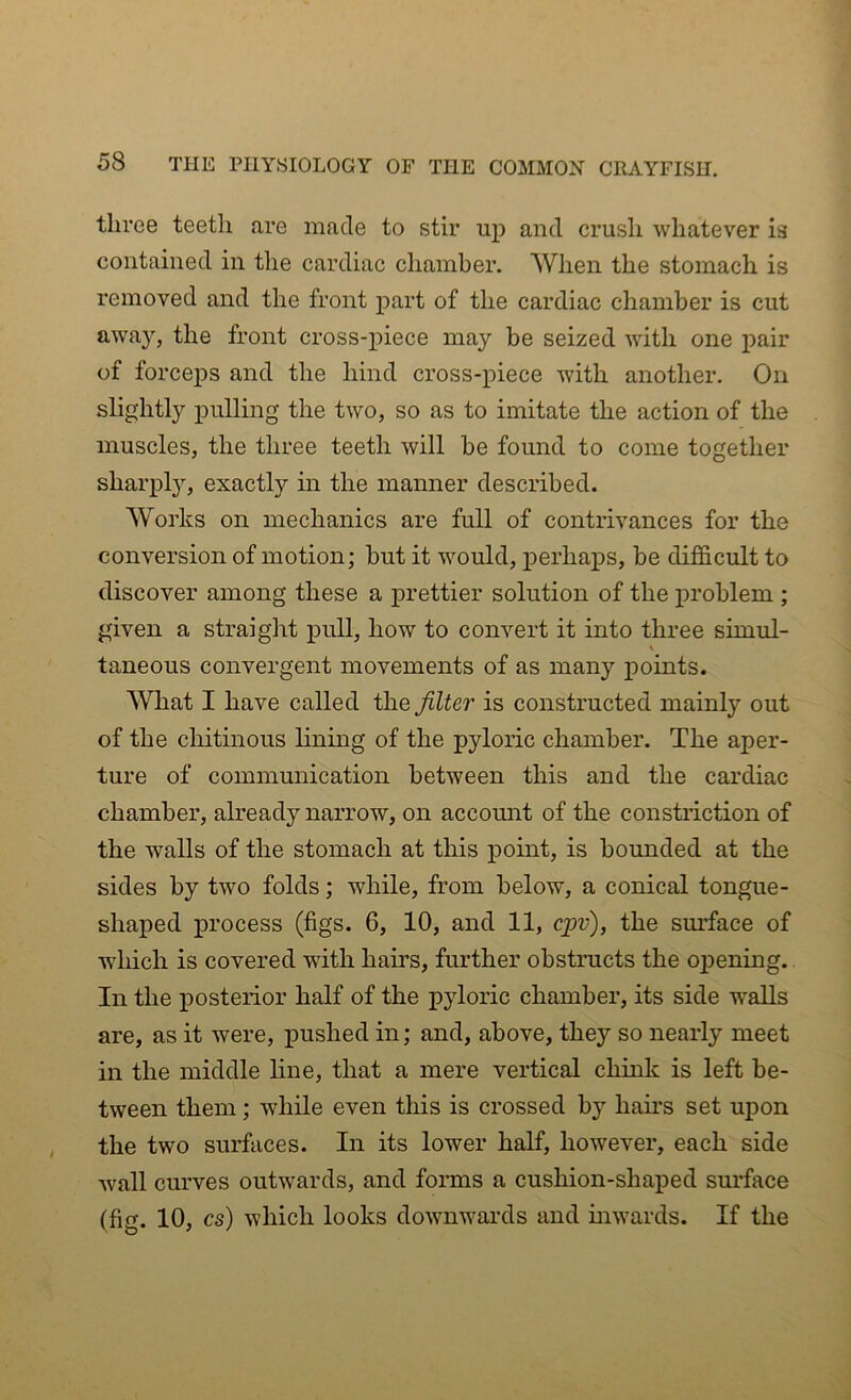 three teeth are made to stir up and crush whatever is contained in the cardiac chamber. When the stomach is removed and the front part of the cardiac chamber is cut away, the front cross-piece may be seized with one pair of forceps and the hind cross-piece with another. On slightly pulling the two, so as to imitate the action of the muscles, the three teeth will be found to come together sharply, exactly in the manner described. Works on mechanics are full of contrivances for the conversion of motion; but it would, perhaps, be difficult to discover among these a prettier solution of the problem ; given a straight pull, how to convert it into three sirnul- \ taneous convergent movements of as many points. What I have called the filter is constructed mainly out of the cliitinous lining of the pyloric chamber. The aper- ture of communication between this and the cardiac chamber, already narrow, on account of the constriction of the walls of the stomach at this point, is bounded at the sides by two folds; while, from below, a conical tongue- shaped process (figs. 6, 10, and 11, cpv), the surface of which is covered with hams, further obstructs the opening. In the posterior half of the pyloric chamber, its side walls are, as it were, pushed in; and, above, they so nearly meet in the middle line, that a mere vertical chink is left be- tween them; while even this is crossed by hairs set upon the two surfaces. In its lower half, however, each side wall curves outwards, and forms a cushion-shaped surface (fig. 10, cs) which looks downwards and inwards. If the