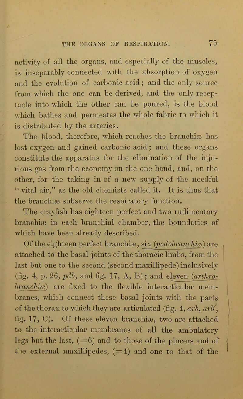 activity of all the organs, and especially of the muscles, is inseparably connected with the absorption of oxygen and the evolution of carbonic acid; and the only source from which the one can he derived, and the only recep- tacle into which the other can he poured, is the blood which bathes and permeates the whole fabric to which it is distributed by the arteries. The blood, therefore, which reaches the branchiae has lost oxygen and gained carbonic acid; and these organs constitute the apparatus for the elimination of the inju- rious gas from the economy on the one hand, and, on the other, for the taking in of a new supply of the needful “ vital air,” as the old chemists called it. It is thus that the branchiae subserve the respiratory function. The crayfish has eighteen perfect and two rudimentary branchiae in each branchial chamber, the boundaries of which have been already described. Of the eighteen perfect branchiae, six (poclobrancJiics) are attached to the basal joints of the thoracic limbs, from the last but one to the second (second maxillipede) inclusively (fig. 4, p. 26, pclb, and fig. 17, A, B); and eleven (arthro- branchice) are fixed to the flexible interarticular mem- branes, which connect these basal joints with the parts of the thorax to which they are articulated (fig. 4, arb, arb fig. 17, C). Of these eleven branchiae, two are attached to the interarticular membranes of all the ambulatory legs but the last, (=6) and to those of the pincers and of the external maxillipedes, (=4) and one to that of the