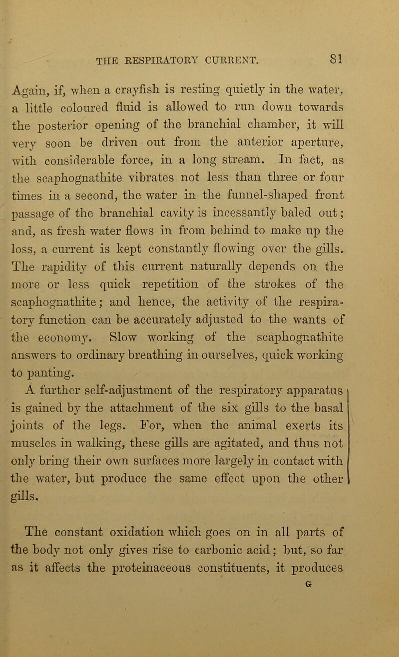 Again, if, when a crayfish is resting quietly in the water, a little coloured fluid is allowed to run down towards the posterior opening of the branchial chamber, it will very soon be driven out from the anterior aperture, with considerable force, in a long stream. In fact, as the scaphognathite vibrates not less than three or four times in a second, the water in the funnel-shaped front passage of the branchial cavity is incessantly baled out ; and, as fresh water flows in from behind to make up the loss, a current is kept constantly flowing over the gills. The rapidity of this current naturally depends on the more or less quick repetition of the strokes of the scaphognathite; and hence, the activity of the respira- tory function can be accurately adjusted to the wants of the economy. Slow working of the scaphognathite answers to ordinary breathing in ourselves, quick working to panting. A further self-adjustment of the respiratory apparatus is gained by the attachment of the six gills to the basal joints of the legs. For, when the animal exerts its muscles in walking, these gills are agitated, and thus not only bring their own surfaces more largely in contact with the water, but produce the same effect upon the other gills. The constant oxidation which goes on in all parts of the body not only gives rise to carbonic acid; but, so far as it affects the proteinaceous constituents, it produces G