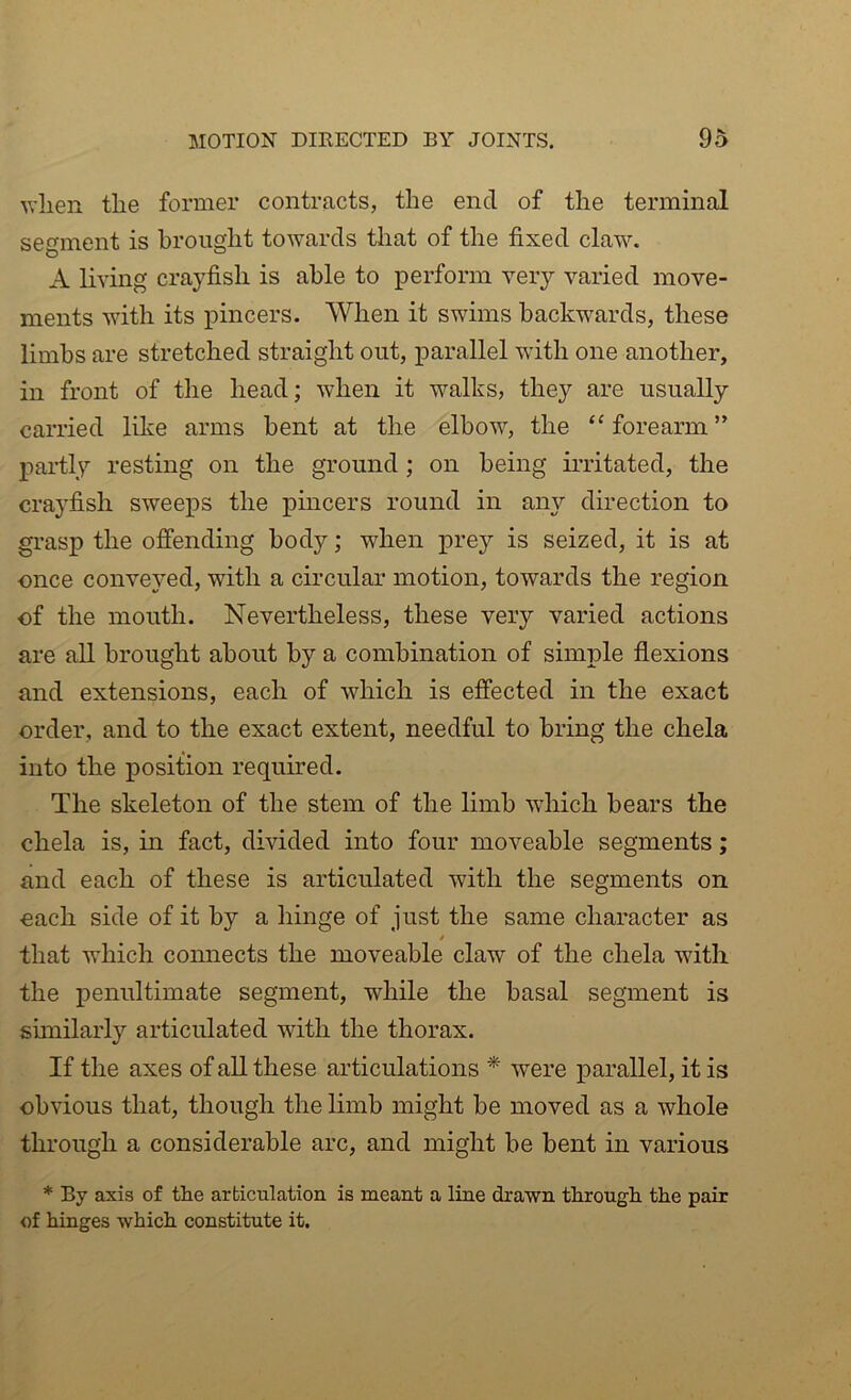 when tlie former contracts, the end of the terminal segment is brought towards that of the fixed claw. A living crayfish is able to perform very varied move- ments with its pincers. When it swims backwards, these limbs are stretched straight out, parallel with one another, in front of the head; when it walks, they are usually carried like arms bent at the elbow, the “forearm” partly resting on the ground ; on being irritated, the crayfish sweeps the pincers round in any direction to grasp the offending body; when prey is seized, it is at once conveyed, with a circular motion, towards the region of the mouth. Nevertheless, these very varied actions are all brought about by a combination of simple flexions and extensions, each of which is effected in the exact order, and to the exact extent, needful to bring the chela into the position required. The skeleton of the stem of the limb which bears the chela is, in fact, divided into four moveable segments; and each of these is articulated with the segments on each side of it by a hinge of just the same character as * that which connects the moveable claw of the chela with the penultimate segment, while the basal segment is similarly articulated with the thorax. If the axes of all these articulations * were parallel, it is obvious that, though the limb might be moved as a whole through a considerable arc, and might be bent in various * By axis of the articulation is meant a line drawn through the pair of hinges which constitute it.