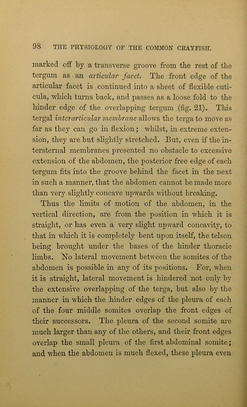 marked off by a transverse groove from the rest of the tergum as an articular facet. The front edge of the articular facet is continued into a sheet of flexible cuti- cula, which turns back, and passes as a loose fold to the hinder edge of the overlapping tergum (fig. 21). This tergal interarticular membrane allows the terga to move as far as they can go in flexion; whilst, in extreme exten- sion, they are but slightly stretched. But, even if the in- tersternal membranes presented no obstacle to excessive extension of the abdomen, the posterior free edge of each tergum fits into the groove behind the facet in the next in such a manner, that the abdomen cannot be made more than very slightly concave upwards without breaking. Thus the limits of motion of the abdomen, in the vertical direction, are from the position in which it is straight, or has even a very slight upward concavity, to that in which it is completely bent upon itself, the telson being brought under the bases of the hinder thoracic limbs. No lateral movement between the somites of the abdomen is possible in any of its positions. For, when it is straight, lateral movement is hindered not only by the extensive overlapping of the terga, but also by the manner in which the hinder edges of the pleura of each of the four middle somites overlap the front edges of their successors. The pleura of the second somite are much larger than any of the others, and their front edges overlap the small pleura of the first abdominal somite; and when the abdomen is much flexed, these pleura even