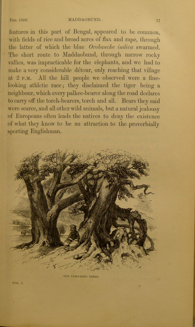 features in this part of Bengal, appeared to be common, with helcls of rice and broad acres of flax and rape, through the latter of which the blue OrohancUe indica swarmed. The short route to Maddaobund, through narrow rocky vallies, was impracticable for the elephants, and we had to make a very considerable detoui’, only reaching that village at 2 p.M. All the hill people we observed were a fine- looking athletic race; they disclaimed the tiger being a neighbour, which every palkee-bearer along the road declares to carry off the torch-bearers, torch and all. Bears they said Avere scarce, and all other Avild animals, but a natural jealousy of Europeans often leads the natives to deny the existence of Avhat they know to be an attraction to the proverbially sporting Englishman. OI.D TAMARIND TREES. vou r. c