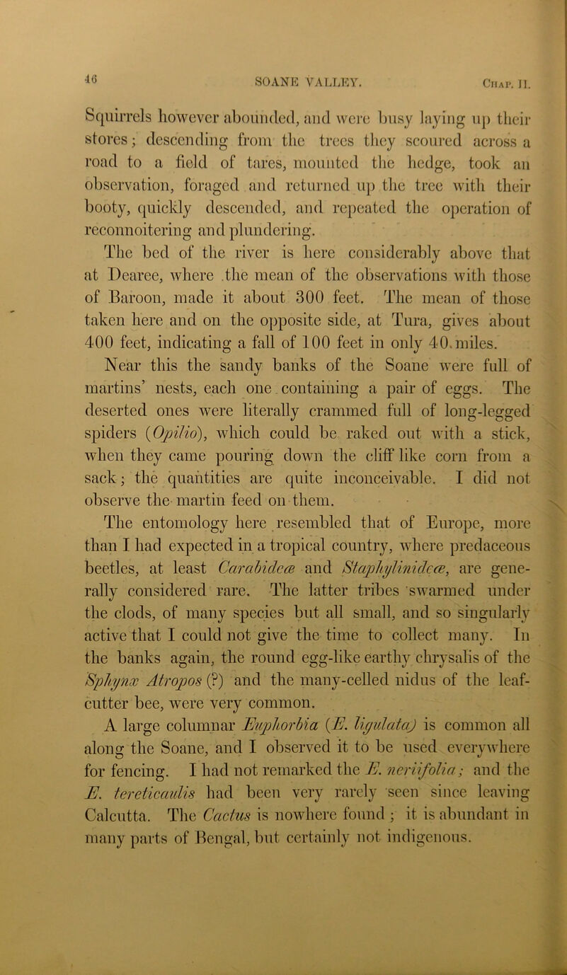 Squirrels however abounded, and were busy laying up their stores; descending from the trees tliey scoured across a road to a field of tares, mounted the hedge, took an observation, foraged and returned iqi the tree with their booty, quickly descended, and repeated the operation of reconnoitering and plundering. The bed of the river is here considerably above that at Dearee, where .the mean of the observations with those of Baroon, made it about 300 feet. The mean of those taken here and on the opposite side, at Tura, gives about 400 feet, indicating a fall of 100 feet in only 40. miles. Near this the sandy banks of the Soane were full of martins’ nests, each one. containing a pair of eggs. The deserted ones were literally crammed full of long-legged spiders {Opilio), which could be raked out with a stick, when they came pouring down the cliff like corn from a sack; the quantities are quite inconceivable. I did not observe the martin feed on them. The entomology here resembled that of Europe, more than I had expected in a tropical country, where predaceous beetles, at least CarahidccB and StaphylinidecB, are gene- rally considered rare. The latter tribes swarmed under the clods, of many species but all small, and so singularly active that I could not give the time to collect many. In the banks again, the round egg-like earthy chrysalis of the Sphynw Atropos (?) and the many-celled nidus of the leaf- cutter bee, were very common. A large columnar Euphorbia {E. ligulataj is common all along the Soane, and I observed it to be used everyAvhere for fencing. I had not remarked the E. neriifolia; and the E. tereticaidis had been very rarely seen since leaving Calcutta. The Cactus is nowhere found ; it is abundant in many parts of Bengal, but certainly not indigenous.