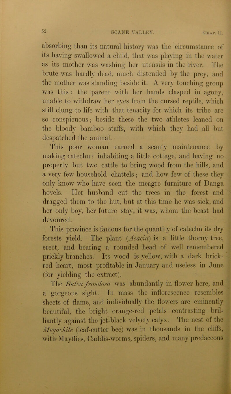 absorbing than its natural history was the circumstance of its having swallowed a child, that was ])laying in the water as its mother was washing her utensils in the river. The brute was hardly dead, much distended by the prey, and the mother was standing beside it. A very touching grouj) was this : the parent with her hands clasped in agony, unable to withdraw her eyes from the cursed reptile, which still clung to life with that tenacity for which its tribe are so conspicuous; beside these the two athletes leaned on the bloody bamboo staffs, with which they had all but despatched the animal. This poor woman earned a scanty maintenance by making catechu: inhabiting a little cottage, and having no property but two cattle to bring wood from the hills, and a very few household chattels; and how few of these they only know who have seen the meagre furniture of Danga hovels. Her husband cut the trees in the forest and dragged them to the hut, but at this time he was sick, and her only boy, her future stay, it was, whom the beast had devoured. This province is famous for the quantity of catechu its dry forests yield. The plant {Acacia) is a little thorny tree, erect, and bearing a rounded head of well remembered prickly branches. Its wood is yellow, with a dark brick- red heart, most profitable in January and useless in June (for yielding the extract). The Butea frondosa was abundantly in flower here, and a gorgeous sight. In mass the inflorescence resembles sheets of flame, and individually the flowers are eminently beautiful, the bright orange-red petals contrasting bril- liantly against the jet-black velyety calyx. The nest of the MegacUle (leaf-cutter bee) was in thousands in the cliffs, with Mayflies, Caddis-worms, spiders, and many predaceous V X