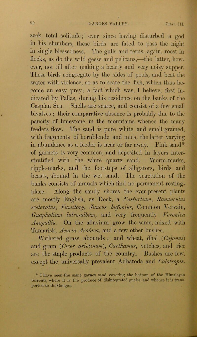 seek total solitude; ever since having disturbed a god in his slumbers, these birds are fated to pass the night in single blessedness. The gulls and terns, again, roost in flocks, as do the wild geese and pelicans,—the latter, how- ever, not till after making a hearty and very noisy supper. These birds congregate by the sides of pools, and beat the water with violence, so as to scare the fish, which thus be- come an easy prey; a fact which was, I believe, first in- dicated by Pallas, during his residence on the banks of the Caspian Sea. Shells are scarce, and consist of a few small bivalves ; their comparative absence is probably due to the paucity of limestone in the mountains whence the many feeders flow. The sand is pm:e white and small-grained, with fragments of hornblende and mica, the latter varying in abundance as a feeder is near or far away. Pink sand* of garnets is very common, and deposited in layers inter- stratified with the white quartz sand. Worm-marks, ripple-marks, and the footsteps of alhgators, birds and beasts, abound in the wet sand. The vegetation of the banks consists of annuals which find no permanent resting- place. Along the sandy shores the ever-present plants are mostly English, as Dock, a Nasturtium, Hanunculus sceleratus, Fu7nitory, Juncus hufonius, Common Veiwain, Gnapltalium luteo-album, and very frequently Veronica Anayallis. On the alluvium grow the same, mixed with Tamarisk, Acacia Arabica, and a few other bushes. Withered grass abounds ; and wheat, dhal {Coyanus) and gram {Cicer arietinum), Carthamus, vetches, and rice are the staple products of the country. Bushes are few, except the universally prevalent Adhatoda and Calotropis. * I have seen the same garnet sand covering the bottom of the Himalayan torrents, where it is the produce of disintegrated gneiss, and whence it is timis- ported to the Ganges.
