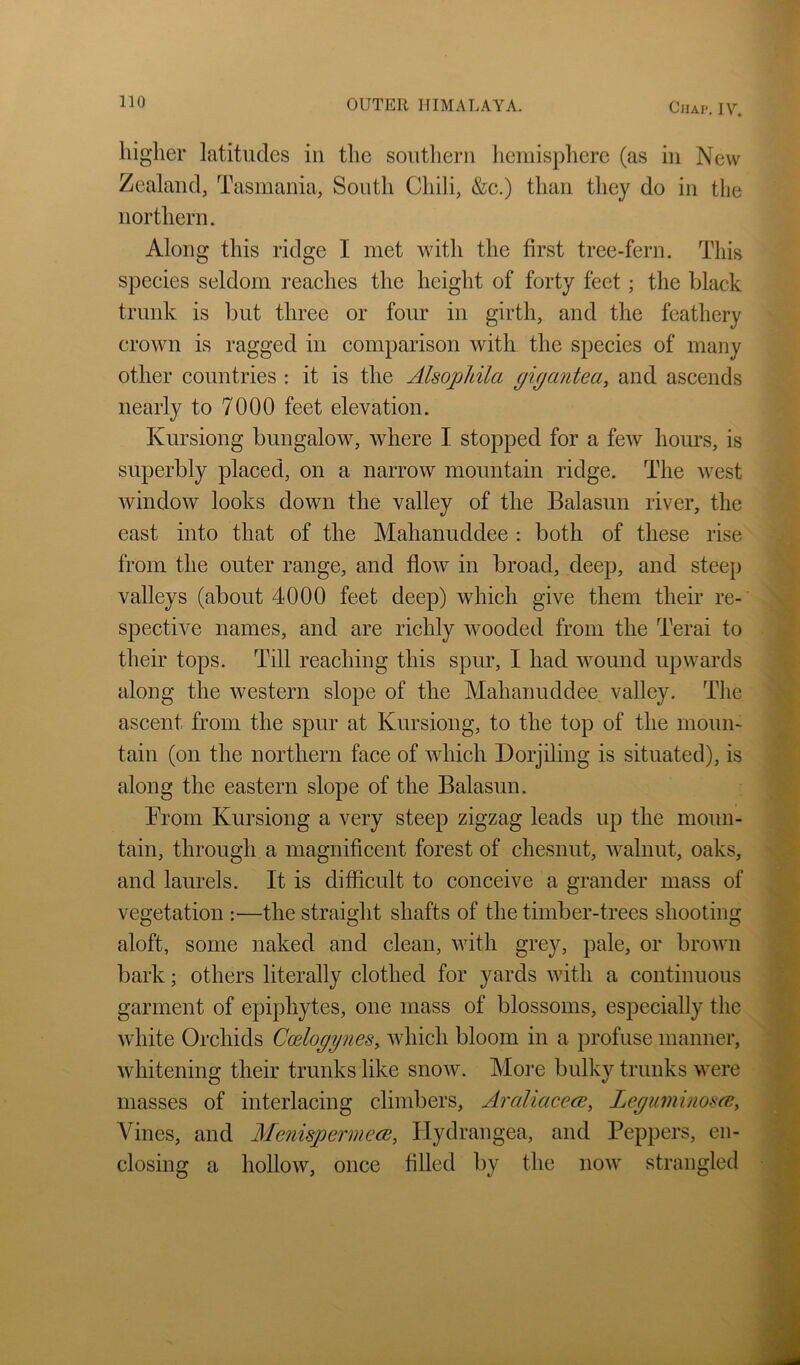 higher latitudes in the southern hemisphere (as in New Zealand, Tasmania, South Chili, &c.) than they do in the northern. Along this ridge I met with the first tree-fern. This species seldom reaches the height of forty feet; the black trunk is but three or four in girth, and the feathery crown is ragged in comparison with the species of many other countries : it is the Alsophila gigantea, and ascends nearly to 7000 feet elevation. Kursiong bungalow, w^here I stopped for a few hoims, is superbly placed, on a narrow mountain ridge. The west window looks down the valley of the Balasun river, the east into that of the Mahanuddee : both of these rise from the outer range, and flow in broad, deep, and steep valleys (about 4000 feet deep) which give them their re- spective names, and are richly wooded from the Terai to their tops. Till reaching this spur, I had wound upwards along the western slope of the Mahanuddee valley. The ascent from the spur at Kursiong, to the top of the moun- tain (on the northern face of which Dorjiling is situated), is along the eastern slope of the Balasun. Brom Kursiong a very steep zigzag leads up the moun- tain, through a magniflcent forest of chesnut, walnut, oaks, and laurels. It is difficult to conceive a grander mass of vegetation :—the straight shafts of the timber-trees shooting aloft, some naked and clean, with grey, pale, or brown bark; others literally clothed for yards with a continuous garment of epiphytes, one mass of blossoms, especially the white Orchids Coeloggnes, which bloom in a profuse manner, whitening their trunks like snow. More bulky trunks were masses of interlacing climbers, AraliacecB, Legiiminoses. Vines, and Menispermees, Hydrangea, and Peppers, en- closing a hollow, once filled by the now strangled
