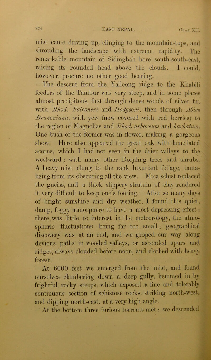 mist came driving np, clinging to the monntain-to})s, and shrouding the landscape with extreme rapidity. The remarkable mountain of Sidinghah bore south-south-east, raising its rounded head above the clouds. I could, however, procure no other good bearing. The descent from the Yalloong ridge to the Khabili feeders of the Tambur was, very steep, and in some places almost precipitous, first through dense woods of silver fir, with Bhod. Falconeri and Hod^soni, then through J/nen Brimonicma, with yew (now covered with red berries) to the region of Magnolias and Bhod. arhoreum and harhatum. One bush of the former was in flower, making a gorgeous show. Here also appeared the great oak with lamellated acorns, which I had not seen in the drier valleys to the westward; with many other Dorjiling trees and shrubs. A heavy mist clung to the rank luxuriant foliage, tanta- lizing from its obscuring all the view. Mica schist replaced the gneiss, and a thick slippery stratum of clay rendered it very difficult to keep one’s footing. After so many days of bright sunshine and dry weather, I found this quiet, damp, foggy atmosphere to have a most depressing effect: there was little to interest in the meteorology, the atmo- spheric fluctuations being far too small; geographical discovery was at an end, and we groped our way along devious paths in wooded valleys, or ascended spurs and ridges, always clouded before noon, and clothed with heavy forest. At 6000 feet we emerged from the mist, and found ourselves clambering down a deep gully, hemmed in by frightful rocky steeps, which exposed a fine and tolerably continuous section of schistose rocks, striking north-west, and dipping north-east, at a very high angle. At the bottom three furious torrents met; we descended N