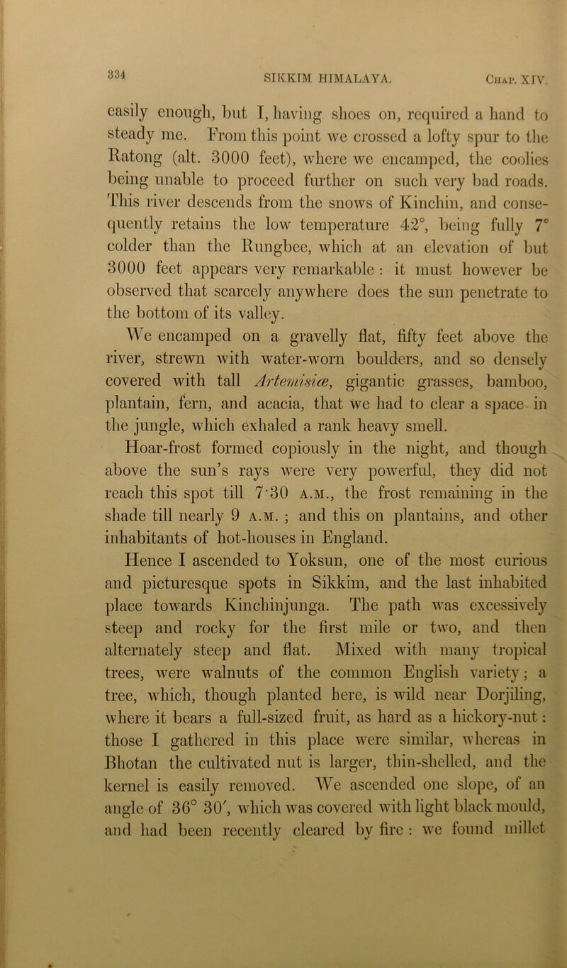 easily enoiigli, but I, having shoes on, required a liand to steady me. From this point we crossed a lofty spur to the Ratong (alt. 3000 feet), where we encamped, the coolies being unable to proceed further on such very bad roads. This river descends from the snows of Kinchin, and conse- quently retains the low temperature 42°, being fully T colder than the Rungbee, which at an elevation of but 3000 feet appears very remarkable ; it must however be observed that scarcely anywhere does the sun penetrate to the bottom of its valley. We encamped on a gravelly flat, fifty feet above the river, strewn with water-worn boulders, and so densely covered with tall ArtemisicB, gigantic grasses, bamboo, plantain, fern, and acacia, that we had to clear a space in the jungle, which exhaled a rank heavy smell. Hoar-frost formed copiously in the night, and though above the sun’s rays were very powerful, they did not reach this spot till 7'30 a.m., the frost remaining in the shade till nearly 9 a.m. ; and this on plantains, and other inhabitants of hot-houses in England. Hence I ascended to Yoksmi, one of the most curious and picturesque spots in Sikkim, and the last inhabited place towards Kinchinjunga. The path was excessively steep and rocky for the first mile or two, and then alternately steep and flat. Mixed with many tropical trees, were walnuts of the common English variety; a tree, which, though planted here, is wild near Dorjiling, where it bears a full-sized fruit, as hard as a hickory-nut: those I gathered in this place were similar, whereas in Bhotan the cultivated nut is larger, thin-shelled, and the kernel is easily removed. We ascended one slope, of an angle of 36° 30', which was covered with light black mould, and had been recently cleared by fire : we found millet