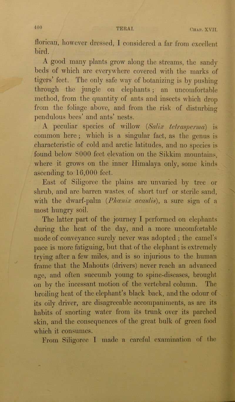 ■100 (^HAP. XVII. floricRii, however dressed, 1 considered a far from excellent bird. A good many plants grow along the streams, the sandy beds of which are everywhere covered with the marks of tigers’ feet. The only safe Avay of botanizing is by pushing through the jungle on elephants; an uncomfortable method, from the quantity of ants and insects which drop from the foliage above, and from the risk of disturbing pendulous bees’ and ants’ nests. A peculiar species of willow {Salix tetrasperma) is common here ; which is a singular fact, as the genus is characteristic of cold and arctic latitudes, and no species is found below 8000 feet elevation on the Sikkim mountains, where it grows on the inner Himalaya only, some kinds ascending to 16,000 feet. East of Siligoree the plains are unvaried by tree or shrub, and are barren wastes, of short turf or sterile sand, with the dwarf-palm {Phoenix acaulis), a sure sign of a most hungry soil. The latter part of the journey I performed on elephants during the heat of the day, and a more uncomfortable mode of conveyance surely never was adopted ; the camel’s pace is more fatiguing, but that of the elephant is extremely trying after a few miles, and is so injurious to the human frame that the Mahouts (drivers) never reach an advanced age, and often succumb young to spine-diseases, brought on by the incessant motion of the vertebral column. The broiling heat of the elephant’s black back, and the odour of its oily driver, are disagreeable accompaniments, as are its habits of snorting water from its trunk over its parched skin, and the consequences of the great bulk of greeii food which it consumes.