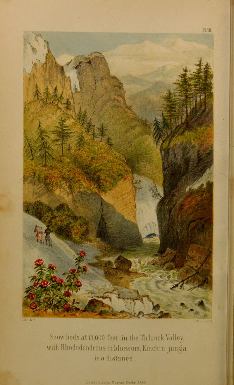 Snow beds at 13,000 feet, in the Th’lonok Valley; with Rhododendrons in blossom,- Kinchin-junga in a distance. London John Murray mu. *.*«*xL JB.H-del' Decfcr. 1853.