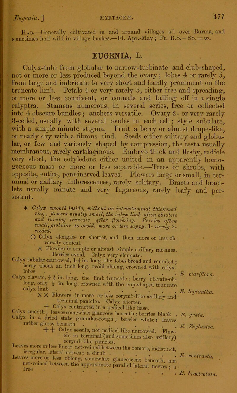 Hab.—Generally cultivated in and around villages all over Burma, and sometimes half wild in village bushes.—FI. Apr.-May; Fr. E.S.—SS.= oo. EUGENIA, L. Calyx-tube from globular to narrow-turbinate and club-shaped, not or more or less produced beyond the ovary; lobes 4 or rarely 5, from large and imbricate to very short and hardly prominent on the truncate limb. Petals 4 or very rarely 5, either free and spreading, or more or less connivcnt, or connate and falling off in a single calyptra. Stamens numerous, in several series, free or collected into 4 obscure bundles; anthers versatile. Ovary 2- or very rarely 3-celled, usually with several ovules in each cell; style subulate, with a simple minute stigma. Fruit a berry or almost drupe-like, or nearly dry with a fibrous rind. Seeds either solitary and globu- lar, or few and variously shaped by compression, the testa usually membranous, rarely cartilaginous. Embryo thick and fleshy, radicle very short, the cotyledons either united in an apparently homo- geneous mass or more or less separable.—Trees or shrubs, with opposite, entire, penninerved leaves. Flowers large or small, in ter- minal or axillary inflorescences, rarely solitary. Bracts and bract- lets usually minute and very fugaceous, rarely leafy and per- sistent. Calyx smooth inside, without an intrastaminal thickened ring ; flowers usually small, the calyx-limb often obsolete and turning truncate after flowering. Berries often small, globular to ovoid, more or less sappy, 1- rarely 2- seeded. O Calyx elongate or shorter, and then more or less ob- versely conical. X Flowers in simple or almost simple axillary racemes. Berries ovoid. Calyx very elongate. Calyx tubular-narrowed, 1-^ in. long, the lobes broad and rounded; berry about an inch long, ovoid-oblong, crowned with calyx- lobes ........ Calyx clavate, in. long, the limb truncate; berry clavatc-ob- long, only a ;u. long, crowned with the cup-shaped truncate calyx-limb X X Flowers in more or less corymb-like axillary and terminal panicles. Calyx shorter. + Calyx contracted in a pedicel-like base. Calyx smooth ; leaves somewhat glaucous beneath ; berries black Calyx m a dried state granular-rough; berries white; leaves rather glossy beneath ..... + + Calyx sessile, not pedicel-like narrowed. Flow- ers in terminal (and sometimes also axillary) corymb-like panicles. Leaves more or less linear, net-veined between the remote, indistinct irregular, lateral nerves; a shrub . Leaves more or less oblong, somewhat glaucesoent beneath, not trcoVOmCcl between the approximate parallel lateral nerves ; a E. E. E. E. E. E. cl a v flora, leptantha, grata. Zeylanica. conlracla. bracteolula.