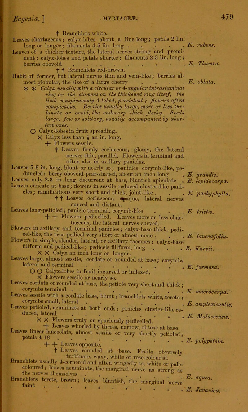 f Branchlets wliite. Leaves chartaceous ; calyx-lobes about a line long; petals 2 lin. long or longer; filaments 4-5 lin. long . Leaves of a thicker texture, the lateral nerves strong and promi- nent ; calyx-lobes and petals shorter; filaments 2-3 lin. long; berries obovoid f f Branchlets red-brown. Habit of former, but lateral nerves thin and vein-like; berries al- most globular, the size of a large cherry . . . . ^ 5k Calyx usually with a circular or 4-angular intrastaminal ring or the stamens on the thickened ring itself, the limb conspicuously 4-lobed, persistent ; flowers often conspicuous. Berries usually large, more or less tur- binate or ovoid, the endocurp thick, fleshy. Seeds large, few or solitary, usually accompanied by abor- tive ones. O Calyx-lobes in fruit spreading. X Calyx less than 5 an in. long, + Flowers sessile. f Leaves firmly coriaceous, glossy, the lateral nerves thin, parallel. Flowers in terminal and often also in axillary panicles. Leaves 5-6 in. long, blunt or nearly so; panicles corymb-like, pe- duncled; berry obovoid-pear-shaped, about an inch long Leaves only 2-3 in. long, decurrent at base, bluntish apiculate . Leaves cuneate at base; flowers in sessile reduced cluster-like pani- cles ; ramifications very short and thick, joint-like . f f Leaves coriaceous, «j>aque, lateral nerves curved and distant. Leaves long-petioled; panicle terminal, corymb-like H—|- Flowers pedicelled. Leaves more or less char- taceous, the lateral nerves curved. Flowers in axillary and terminal panicles; calyx-base thick, pedi- cel-like, the true pedicel very short or almost none . Flowert in simple, slender, lateral, or axillary racemes; calyx-base filiform and pedicel-like; pedicels filiform, long X X Calyx an inch long or longer. Leaves large, almost sessile, cordate or rounded at base; corymbs lateral and terminal ..... O O Calyx-lobes in fruit incurved or inflexed. X Flowers sessile or nearly so. Leaves cordate or rounded at base, the petiole very short and thick ; corymbs terminal Leaves sessile with a cordate base, blunt; branchlets white, terete • corymbs small, lateral Leaves petioled, acuminate at both ends; panicles cluster-like re- duced, lateral X X Flowers truly or spuriously pedicelled. + Leaves whorled by threes, narrow, obtuse at base. leaves linear-lanceolate, almost sessile or very shortly netioled • petals 4-16 J l ’ + + Leaves opposite. t Leaves rounded at base. Fruits obversely turbinate, waxy, white or rose-coloured. Branchlets usually 4-cornered and often wingedly so, white or pale- coloured ; leaves acuminate, the marginal nerve as strong as the nerves themselves .... Branchlets terete, brown; leaves bluntish,'the marginal nerve E. rubens. E. Thumra. E. oblata. E. grandis. E. lepidocarpa. E. pachyphylla. E. tristis. E. lancecefolia- E. Kurzii. E. formosa. E. macrocarpa. E. amplexicaulis. E. Malaccensis, E. polypetala. E. aquea. E. Javanica.