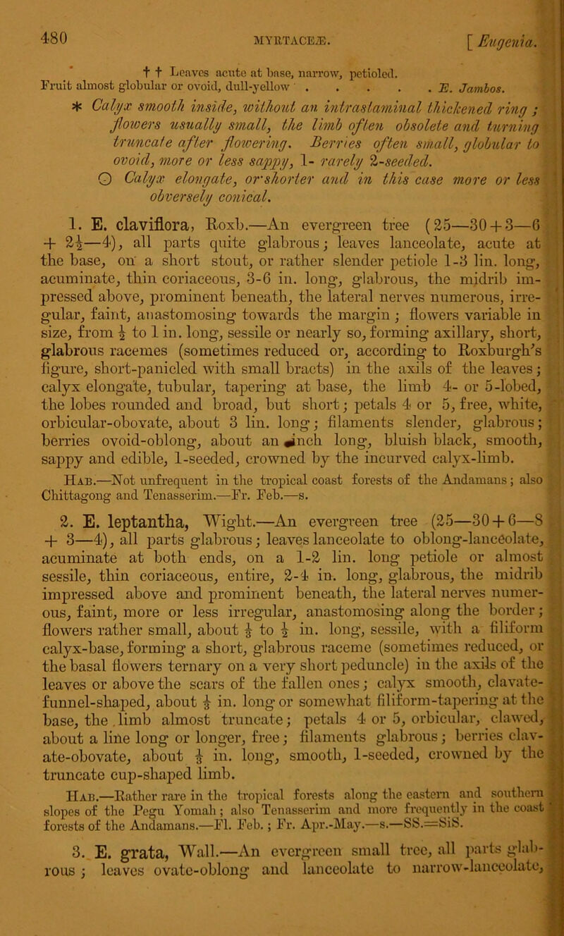 t t Leaves aeute at Imse, narrow, petioleil. Fruit almost globular or ovoid, dull-yellow 2?. Jambos. * Calyx smooth inside, without an intraslaminal thickened ring ; flowers usually small, the limb of ten obsolete and turning \ truncate after flowering. Berries often small, globular to / ovoid, more or less sappy, 1- rarely 2-seeded. O Calyx elongate, or shorter and in this case more or less obversely conical. 1. E. claviflora, Roxb.—An evergreen tree (25—30 + 3—6 + 2^—4), all parts quite glabrous; leaves lanceolate, acute at tbe base, on a short stout, or rather slender petiole 1-3 lin. long, acuminate, thin coriaceous, 3-6 in. long, glabrous, the midrib im- pressed above, prominent beneath, the lateral nerves numerous, irre- gular, faint, anastomosing towards the margin ; flowers variable in size, from ^ to 1 in. long, sessile or nearly so, forming axillary, short, ; glabrous racemes (sometimes reduced or, according to Roxburgh's figure, short-panicled with small bracts) in the axils of the leaves; calyx elongate, tubular, tapering at base, the limb 4- or 5-lobed, ' the lobes rounded and broad, but short; petals 4 or 5, free, white, •' orbicular-obovate, about 3 lin. long; filaments slender, glabrous; berries ovoid-oblong, about an «inch long, bluish black, smooth, sappy and edible, 1-seeded, crowned by the incurved calyx-limb. Hab.—Not unfrequent in the tropical coast forests of the Andamans; also Chittagong and Tenasserim.—Fr. Feb.—s. 2. E. leptantha, Wight.—An evergreen tree (25—30 + 6—8 + 3—4), all parts glabrous; leaves lanceolate to oblong-lanceolate, acuminate at both ends, on a 1-2 lin. long petiole or almost sessile, thin coriaceous, entire, 2-4 in. long, glabrous, the midrib impressed above and prominent beneath, the lateral nerves numer- ous, faint, more or less irregular, anastomosing along the border; flowers rather small, about ^ to ^ in. long, sessile, with a filiform calyx-base, forming a short, glabrous raceme (sometimes reduced, or the basal flowers ternary on a very short peduncle) in the axils of the leaves or above the scars of the fallen ones; calyx smooth, elavate- funnel-shaped, about £ in. long or somewhat filiform-tapering at the base, the . limb almost truncate; petals 4 or 5, orbicular, clawed, about a line long or longer, free; filaments glabrous; berries clav- ate-obovate, about £ in. long, smooth, 1-seeded, crowned by the truncate cup-shaped limb. IIab.—Rather rare in the tropical forests along the eastern and southern slopes of the Pegu Yomah; also Tenasserim and more frequently in the coast: forests of the Andamans.—FI. Feb.; Fr. Apr.-May.—s.—SS.=SiS. 3. E. grata, Wall.—An evergreen small tree, all parts glab- rous ; leaves ovate-oblong and lanceolate to narrow-lanceolate,