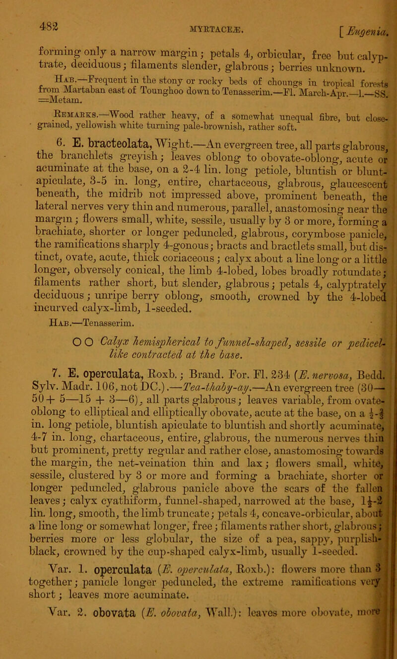 forming- only a narrow margin; petals 4, orbicular, free but calyp- trate, deciduous ; filaments slender, glabrous; berries unknown. , Hab.—Frequent in the stony or rocky beds of choungs in tropical forests from Martaban east of Tounghoo down to Tenasserim.—FI. March-Apr. 1 SS =Metam. 1 Rem ARKS. Wood rather heavy, of a somewhat unequal fibre, hut close- • grained, yellowish white turning pale-brownish, rather soft. 6. E. bracteolata, Wight.—An evergreen tree, all parts glabrous, the branchlets greyish; leaves oblong to obovate-oblong, acute or acuminate at the base, on a 2-4 lin. long petiole, bluntisk or blunt- apiculate, 3-5 in. long, entire, ckartaceous, glabrous, glaucescent beneath, the midrib not impressed above, prominent beneath, the lateral nerves very thin and numerous, parallel, anastomosing near the margin; flowers small, white, sessile, usually by 3 or more, forming a brachiate, shorter or longer peduncled, glabrous, corymbose panicle, the ramifications sharply 4-gonous; bracts and bractlets small, but dis- tinct, ovate, acute, thick coriaceous ; calyx about a hue long or a little longer, obversely conical, the limb 4-lobed, lobes broadly rotundate; filaments rather short, but slender, glabrous; petals 4, calyptrately deciduous; unripe berry oblong, smooth, crowned by the 4-lobed incurved calyx-limb, 1-seeded. Had.—Tenasserim. OO Calyx hemispherical to f unnel-shaped, sessile or pedicel- like contracted at the base. 7. E. operculata, Roxb.; Brand. For. FI. 234 (E. nervosa, Bedd. Sylv. Madr. 106, not DC.).—Tea-thaby-ay.—An evergreen tree (30—• 50+ 5—15 + 3—6), all parts glabrous; leaves variable, from ovate- oblong to elliptical and elliptically obovate, acute at the base, on a in. long petiole, bluntish apiculate to bluntish and shortly acuminate, 4-7 in. long, chartaceous, entire, glabrous, the numerous nerves thin but prominent, pretty regular and rather close, anastomosing towards the margin, the net-veination thin and lax; flowers small, white, : sessile, clustered by 3 or more and forming a brachiate, shorter or longer peduncled, glabrous panicle above the scars of the fallen leaves; calyx cyatliiform, funnel-shaped, narrowed at the base, l£-2 lin. long, smooth, the limb truncate; petals 4, concave-orbicular, about , a line long or somewhat longer, free; filaments rather short, glabrous; berries more or less globular, the size of a pea, sappy, purplish- black, crowned by the cup-shaped calyx-limb, usually 1-seeded. Var. 1. operculata (E. operculata, Roxb.): flowers more than 3 together; panicle longer peduncled, the extreme ramifications very short; leaves more acuminate. Var. 2. obovata (E. obovata, Wall.): leaves more obovate, more