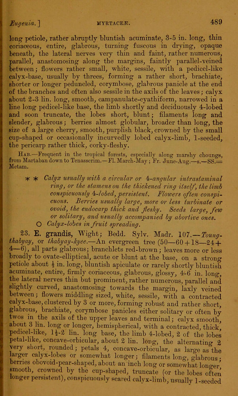 long- petiole, rather abruptly bluntish acuminate, 3-5 in. long, thin coriaceous, entire, glabrous, turning fuscous in drying, opaque beneath, the lateral nerves very thin and faint, rather numerous, parallel, anastomosing along the margins, faintly parallel-veined between; flowers rather small, white, sessile, with a pedicel-like calyx-base, usually by threes, forming a rather short, brachiate, shorter or longer peduncled, corymbose, glabrous panicle at the end of the branches and often also sessile in the axils of the leaves; calyx about 2-3 lin. long, smooth, campanulate-cyathiform, narrowed in a line long pedicel-like base, the limb shortly and deciduously 4-lobed and soon truncate, the lobes short, blunt; filaments long and slender, glabrous; berries almost globular, broader than long, the size of a large cherry, smooth, purplish black, crowned by the small cup-shaped or occasionally incurvedly lobed calyx-limb, 1-seeded, the pericarp rather thick, corky-fleshy. Hab.—Frequent in the tropical forests, especially along marshy choungs, from Martaban down to Tenasserim.—FI. March-May; Fr. June-Aug.—s.—SS.= Metam. + Calyx usually with a circular or 4-angular intrastaminal ring, or the stamens on the thickened ring itself, the limb conspicuously Globed, persistent. Flowers often conspi- cuous. Berries usually large, more or less turbinate or ovoid, the endocarp thick and fleshy. Seeds large, few or solitary, and usually accompanied by abortive ones. O Calyx-lobes in fruit spreading. 23. E. grandis, Wight; Bedd. Sylv. Madr. 10T.-Toung- thabyay, or thabyay-kyee.—An evergreen tree (50—60 + 18—24 + 4—6), all parts glabrous; branchlets red-brown; leaves more or less broadly to ovate-elliptical, acute or blunt at the base, on a strong petiole about 4 in. long, bluntish apiculate or rarely shortly bluntish acuminate, entire, firmly coriaceous, glabrous, glossy, 4-6 in. lon°v, the lateral nerves thin but prominent, rather numerous, parallel and slightly curved, anastomosing towards the margin, laxly veined between; flowers middling sized, white, sessile, with a contracted calyx-base, clustered by 3 or more, forming robust and rather short, glabrous, brachiate, corymbose panicles either solitary or often by twos in the axils of the upper leaves and terminal; calyx smooth, about 3 lin. long or longer, hemispherical, with a contracted, thick, pedicel-like, 1^-2 lin. long base, the limb 4-lobed, 2 of the lobes petal-like, concave-orbicular, about 2 lin. long, the alternating 2 very short, rounded; petals 4, concave-orbicular, as large as'the larger calyx-lobes or somewhat longer; filaments long, glabrous ■ berries obovoid-pear-shaped, about an inch long or somewhat lono-er* smooth, crowned by the cup-shaped, truncate (or the lobes often longer persistent), conspicuously scared calyx-limb, usually 1-seeded