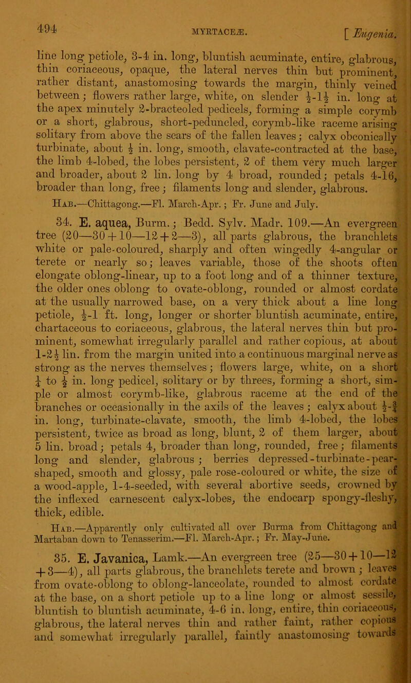 line long petiole, 3-4 in. long, bluntish acuminate, entire, glabrous, tbin coriaceous, opaque, the lateral nerves thin but prominent rather distant, anastomosing towards the margin, thinly veined between; flowers rather large, white, on slender 4-14 in. long at the apex minutely 2-bracteoled pedicels, forming a simple corymb or a short, glabrous, short-peduncled, corymb-like raceme arising ! solitary from above the scars of the fallen leaves; calyx obconically | turbinate, about 4 in. long, smooth, clavate-contracted at the base, the limb 4-lobed, the lobes persistent, 2 of them very much larger and broader, about 2 lin. long by 4 broad, rounded; petals 4-16, broader than long, free; filaments long and slender, glabrous. Hab.—Chittagong.—PL March-Apr.; Fr. June and July. 34. E. aquea, Burm.; Bedd. Sylv. Madr. 109.—An evergreen I tree (20—30 + 10—12 + 2—3), all parts glabrous, the branchlets white or pale-coloured, sharply and often wingedly 4-angular or terete or nearly so; leaves variable, those of the shoots often elongate oblong-linear, up to a foot long and of a thinner texture, the older ones oblong to ovate-oblong, rounded or almost cordate at the usually narrowed base, on a very thick about a line long 5 petiole, 4-1 ft. long, longer or shorter bluntish acuminate, entire, chartaceous to coriaceous, glabrous, the lateral nerves thin but pro- j minent, somewhat irregularly parallel and rather copious, at about . 1-24 lin. from the margin united into a continuous marginal nerve as j strong as the nerves themselves; flowers large, white, on a short i i to 4 in. long pedicel, solitary or by threes, forming a short, sim- ple or almost corymb-like, glabrous raceme at the end of the , branches or occasionally in the axils of the leaves ; calyx about 4-f ; in. long, turbinate-clavate, smooth, the limb 4-lobed, the lobes 1 persistent, twice as broad as long, blunt, 2 of them larger, about 5 lin. broad; petals 4, broader than long, rounded, free; filaments j long and slender, glabrous ; berries depressed-turbinate-pear- , shaped, smooth and glossy, pale rose-coloured or wdiite, the size of I a wood-apple, 1-4-seeded, with several abortive seeds, crowned by the indexed carnescent calyx-lobes, the endocarp spongy-fleshy, thick, edible. Hab.—Apparently only cultivated all over Burma from Chittagong and ; Martaban down to Tenasserim.—FI. Marck-Apr.; Fr. May-June. 35. E. Javanica, Lamk.—An evergreen tree (25—30+10—12,; + 3—4), all parts glabrous, the branchlets terete and brown ; leaves from ovate-oblong to oblong-lanceolate, rounded to almost cordatea at the base, on a short petiole up to a line long or almost sessile bluntish to bluntish acuminate, 4-G in. long, entire, thin coriaceous, glabrous, the lateral nerves thin and rather faint, rather copiouM and somewhat irregularly parallel, faintly anastomosing toward*