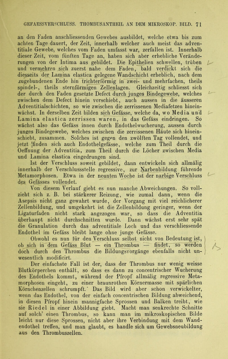 an den Faden anschliessenden Gewebes ausbildet, welche etwa bis zum achten Tage dauert, der Zeit, innerhalb welcher auch meist das adven- titiale Gewebe, welches vom Faden umfasst war, zerfallen ist. Innerhalb dieser Zeit, vom fünften Tage an, haben sich aber erhebliche Verände- rungen von der Intima aus gebildet. Die Epithelien schwellen, trüben j. und vermehren sich zuerst nahe dem Faden, bald verdickt sich die diesseits der Lamina elastica gelegene Wandschicht erheblich, nach dem zugebundenen Ende hin trichterförmig in zwei- und mehrfachen, theils spindel-, theils sternförmigen Zellenlagen. Gleichzeitig schiiesst sich der durch den Faden gesetzte Defect durch junges Bindegewebe, welches zwischen dem Defect hinein vorschiebt, auch aussen in die äusseren Adventitialschichten, so wie zwischen die zerrissenen Mediafetzen hinein- wächst. In derselben Zeit bilden sich Gefässe, welche da, wo Media un'd Lamina elastica zerrissen waren, in das Gefäss eindringen. So wächst also das Gefäss innen durch Endothelwucherung, aussen durch junges Bindegewebe, welches zwischen die zerrissenen Häute sich hinein- schiebt, zusammen. Solches ist geg^n den zwölften Tag vollendet, und jetzt [finden sich auch Endothelgefässe, welche zum Theil durch die Oeffnung der Adventitia, zum Theil durch die Löcher zwischen Media und Lamina elastica eingedrungen sind. Ist der Verschluss soweit gebildet, dann entwickeln sich allmälig innerhalb der Verschlussstelle regressive, zur Narbenbildung führende Metamorphosen. Etwa in der neunten Woche ist der narbige Verschluss des Gefässes vollendet. Von diesem Verlauf giebt es nun manche Abweichungen. So voll- zieht sich z. B. bei stärkerer Reizung, wie zumal dann, wenn die Asepsis nicht ganz gewahrt wurde, der Vorgang mit viel reichlicherer Zellenbildung, und umgekehrt ist die Zellenbildung geringer, wenn der Ligaturfaden nicht stark angezogen war, so dass die Adventitia überhaupt nicht durchschnitten wurde. Dann wächst erst sehr spät die Granulation durch das adventitiale Loch und das verschliessende Endothel im Gefäss bleibt lange ohne junge Gefässe. Obwohl es nun für den Verschluss selbst nicht von Bedeutung ist, ) ob sich in dem Gefäss Blut — ein Thrombus — findet, so werden doch durch den Thrombus die Biidungsvorgänge ebenfalls nicht un- wesentlich modificirt. Der einfachste Fall ist der, dass der Thrombus nur wenig weisse Blutkörperchen enthält, so dass es dann zu concentrischer Wucherung des Endothels kommt, während der Pfropf allmälig regressive Meta- morphosen eingeht, zu einer braunrothen Körnermasse mit spärlichen Körnchenzellen schrumpft. * Das Bild wird aber schon verwickelter, wenn das Endothel, von der einfach concentrischen Bildung abweichend, in diesen Pfropf hinein mannigfache Sprossen und Balken treibt, wie sie Riedel in einer Abbildung giebt. Macht man senkrechte Schnitte auf solch’ einen Thrombus, so kann man im mikroskopischen Bilde leicht nur diese Sprossen, nicht aber ihre Verbindung mit dem Wand- endothel treffen, und man glaubt, es handle sich um Gewebsneubildung aus den Thrombuszellen.