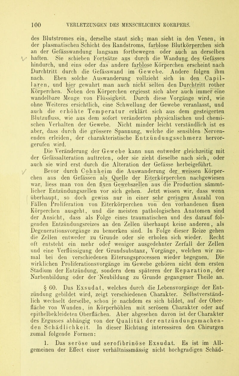 des Blutstromes ein, derselbe staut sich; man sieht in den Venen, in der plasmatischen Schicht des Randstroms, farblose Blutkörperchen sich an der Gefässwandung langsam fortbewegen oder auch an derselben haften. Sie schieben Fortsätze aus durch die Wandung des Gefässes hindurch, und eins oder das andere farblose Körperchen erscheint nach Durchtritt durch die Gefässwand im Gewebe. Andere folgen ihm nach. Eben solche Auswanderung vollzieht sich in den Capil- laren, und hier gewahrt man auch nicht selten den Durchtritt rother Körperchen. Neben den Körperchen ergiesst sich aber auch immer eine wandelbare Menge von Flüssigkeit. Durch diese Vorgänge wird, wie ohne Weiteres ersichtlich, eine Schwellung der Gewebe veranlasst, und auch die erhöhte Temperatur erklärt sich aus dem gesteigerten Blutzufluss, wie aus dem sofort veränderten physicalischen und chemi- schen Verhalten der Gewebe. Nicht minder leicht verständlich ist es aber, dass durch die grössere Spannung, welche die sensiblen Nerven- enden erleiden, der charakteristische Entzündungsschmerz hervor- gerufen wird. Die Veränderung der Gewebe kann nun entweder gleichzeitig mit der Gefässalteration auftreten, oder sie zieht dieselbe nach sich, oder auch sie wird erst durch die Alteration der Gefässe herbeigeführt. Bevor durch Cohn heim die Auswanderung der weissen Körper- chen aus den Gefässen als Quelle der Eiterkörperchen nachgewiesen war, liess man von den Rxen Gewebszellen aus die Production sämmt- licher Entzündungszellen vor sich gehen. Jetzt wissen wir, dass wenn überhaupt, so doch gewiss nur in einer sehr geringen Anzahl von Fällen Proliferation von Eiterkörperchen von den vorhandenen fixen Körperchen ausgeht, und die meisten pathologischen Anatomen sind der Ansicht, dass als Folge eines traumatischen und des darauf fol- genden Entzündungsreizes an den Zellen überhaupt keine anderen, als Degenerationsvorgänge zu bemerken sind. In Folge dieser Reize gehen die Zellen entweder zu Grunde oder sie erholen sich wieder. Recht oft entsteht ein mehr oder weniger ausgedehnter Zerfall der Zellen und eine Verflüssigung der Grundsubstanz, Vorgänge, welchen wir zu- mal bei den verschiedenen Eiterungsprocessen wieder begegnen. Die wirklichen Proliferationsvorgänge im Gewebe gehören nicht dem ersten Stadium der Entzündung, sondern dem späteren der Reparation, der Narbenbildung oder der Neubildung zu Grunde gegangener Theile an. § 60. Das Exsudat, welches durch die Lebensvorgänge der Ent- zündung gebildet wird, zeigt verschiedenen Charakter. Selbstverständ- lich wechselt derselbe, schon je nachdem es sich bildet, auf der Ober- fläche von Wunden, in Körperhöhlen mit serösem Charakter oder auf epithelbekleideten Oberflächen. Aber abgesehen davon ist der Charakter des Ergusses abhängig von der Qualität der entzündungsmachen- den Schädlichkeit. In dieser Richtung interessiren den Chirurgen zumal folgende Formen: 1. Das seröse und serofibrinöse Exsudat. Es ist im All- gemeinen der Effect einer verhältnissmässig nicht hochgradigen Schäd-