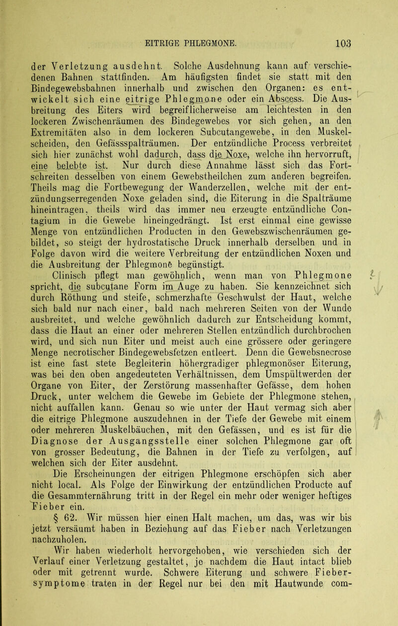 der Verletzung ausdehnt. Solche Ausdehnung kann auf verschie- denen Bahnen stattfinden. Am häufigsten findet sie statt mit den Bindegewebsbahnen innerhalb und zwischen den Organen: es ent- wickelt sich eine eitrige Phlegmone oder ein Abszess. Die Aus- breitung des Eiters wird begreiflicherweise am leichtesten in den lockeren Zwischenräumen des Bindegewebes vor sich gehen, an den Extremitäten also in dem lockeren Subcutangewebe, in den Muskel- scheiden, den Gefässspalträumen. Der entzündliche Process verbreitet sich hier zunächst wohl dadurch, dass djieJSoxe, welche ihn hervorruft, eine belebte ist. Nur durch diese Annahme lässt sich das Fort- schreiten desselben von einem Gewebstheilchen zum anderen begreifen. Theils mag die Fortbewegung der Wanderzellen, welche mit der ent- zündungserregenden Noxe geladen sind, die Eiterung in die Spalträume hineintragen, theils wird das immer neu erzeugte entzündliche Con- tagium in die Gewebe hineingedrängt. Ist erst einmal eine gewisse Menge von entzündlichen Producten in den Gewebszwischenräumen ge- bildet, so steigt der hydrostatische Druck innerhalb derselben und in Folge davon wird die weitere Verbreitung der entzündlichen Noxen und die Ausbreitung der Phlegmone begünstigt. Clinisch pflegt man gewöhnlich, wenn man von Phlegmone spricht, dip subcutane Form im Auge zu haben. Sie kennzeichnet sich durch Röthung und steife, schmerzhafte Geschwulst der Haut, welche sich bald nur nach einer, bald nach mehreren Seiten von der Wunde ausbreitet, und welche gewöhnlich dadurch zur Entscheidung kommt, dass die Haut an einer oder mehreren Stellen entzündlich durchbrochen wird, und sich nun Eiter und meist auch eine grössere oder geringere Menge necrotischer Bindegewebsfetzen entleert. Denn die Gewebsnecrose ist eine fast stete Begleiterin höhergradiger phlegmonöser Eiterung, was bei den oben angedeuteten Verhältnissen, dem Ümspültwerden der Organe von Eiter, der Zerstörung massenhafter Gefässe, dem hohen Druck, unter welchem die Gewebe im Gebiete der Phlegmone stehen, ( nicht auffallen kann. Genau so wie unter der Haut vermag sich aber die eitrige Phlegmone auszudehnen in der Tiefe der Gewebe mit einem oder mehreren Muskelbäuchen, mit den Gefässen, und es ist für die Diagnose der Ausgangsstelle einer solchen Phlegmone gar oft von grosser Bedeutung, die Bahnen in der Tiefe zu verfolgen, auf welchen sich der Eiter ausdehnt. Die Erscheinungen der eitrigen Phlegmone erschöpfen sich aber nicht local. Als Folge der Einwirkung der entzündlichen Producte auf die Gesammternährung tritt in der Regel ein mehr oder weniger heftiges Fieber ein. § 62. Wir müssen hier einen Halt machen, um das, was wir bis jetzt versäumt haben in Beziehung auf das Fieber nach Verletzungen nachzuholen. Wir haben wiederholt hervorgehoben, wie verschieden sich der Verlauf einer Verletzung gestaltet, je nachdem die Haut intact blieb oder mit getrennt wurde. Schwere Eiterung und schwere Fieber- symptome traten in der Regel nur bei den mit Hautwunde com-