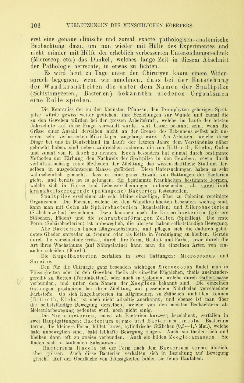 erst eine genaue clinische und zumal exacte pathologisch-anatomische Beobachtung dazu, um nun wieder mit Hülfe des Experimentes und nicht minder mit Hülfe der erheblich verbesserten Untersuchungstechnik (Microscop etc.) das Dunkel, welches lange Zeit in diesem Abschnitt der Pathologie herrschte, in etwas zu lichten. Es wird heut zu Tage unter den Chirurgen kaum einem Wider- spruch begegnen, wenn wir annehmen, dass bei der Entstehung der Wundkrankheiten die unter dem Namen der Spaltpilze (Schistomyceten, Bacterien) bekannten niederen Organismen eine Rolle spielen. Die Kenntniss der zu den kleinsten Pflanzen, den Protophyten gehörigen Spalt- pilze würde gewiss weiter gediehen, ihre Beziehungen zur Wunde und zumal die zu den Geweben würden bei der grossen Arbeitskraft, welche im Laufe der letzten Jahrzehnte auf diese Frage verwandt wurde, weit besser bekannt sein, wenn die Grösse einer Anzahl derselben nicht an der Grenze des Erkennens selbst mit un- seren sehr verbesserten Mikroskopen angelangt wäre. Als Arbeiten, welche diese Dinge bei uns in Deutschland im Laufe der letzten Jahre dem Verständniss näher gebracht haben, sind neben zahlreichen anderen, die von Bill rot h, Klebs, Cohn und zumal von R. Koch zu nennen. Koch besonders hat einmal durch bestimmte Methoden der Färbung den Nachweis der Spaltpilze in den Geweben, sowie durch verhältnissmässig reine Methoden der Züchtung das wissenschaftliche Studium der- selben in ausgedehnterem Maasse gefördert. Diese Untersuchungen haben es sehr wahrscheinlich gemacht, dass es eine ganze Anzahl von Gattungen der Bacterien giebt, und bereits ist es gelungen, für bestimmte Krankheiten bestimmte Formen. welche sich in Grösse und Lebenserscheinungen unterscheiden, als specifisch krankheitserregende (pathogene) Bacterien festzustellen. Spaltpilze erscheinen als sehr kleine einzellige, öfter zu Colonien vereinigte Organismen. Die Formen, welche bei den Wundkrankheiten besonders wichtig sind, kann man mit Cohn als Sphärobacterien (Kugelzellen) und Mikrobacterien (Stäbchenzellen) bezeichnen. Dazu kommen noch die Desmobacterien (grössere Stäbchen, Fäden) und die schraubenförmigen Zellen (Spirillen). Die erste Form (Sphärobacterien) ist unbeweglich, die übrigen haben selbstständige Bewegung. Alle Bacterien haben Längswachsthum, und pflegen sich die dadurch gebil- deten Glieder entweder zu trennen oder als Kette in Vereinigung zu bleiben. Gerade durch die verschiedene Grösse, durch ihre Form, Gestalt und Farbe, sowie durch die Art ihres Wachsthums (auf Nährgelatine) kann man die einzelnen Arten von ein- ander scheiden (Koch). Die Kugelbacterien zerfallen in zwei Gattungen: Microccocus und Sarcine. Den für die Chirurgie ganz besonders wichtigen Microccocus findet man in Flüssigkeiten oder in den Geweben theils als einzelne Kügelchen, theils aneinander- gereiht zu Ketten (Torulaketten), oder auch in Colonien, welche durch Gallertmasse verbunden, und unter dem Namen der Zoog 1 oeaBekannt sind. Die einzelnen Gattungen produciren bei ihrer Züchtung auf passendem Nährboden verschiedene Farbstoffe. Ob sich Kugelbacterien im Allgemeinen zu Stäbchen umbilden können (Billroth, Klebs) ist noch nicht allseitig anerkannt, und ebenso ist man über die selbstständige Bewegung derselben, welche von den meisten Beobachtern als Molecularbewegung gedeutet wird, noch nicht einig. Die Microbacterien, meist als Bacterien kurzweg bezeichnet, zerfallen in zwei Hauptgattungen: Bacterium termo und Bacterium lineola. Bacterium termo, die kleinere Form, bildet kurze, cylindrische Stäbchen (0,5—1,5 Mm.), welche bald unbeweglich sind, bald lebhafte Bewegung zeigen. Auch sie theilen sich und bleiben dann oft zu zweien verbunden. Auch sie bilden Zoogloeamassen. Sie finden sich in faulenden Substanzen. Bacterium lineola ist der F’orm nach dem Bacterium termo ähnlich, aber grösser. Auch diese Bacterien verhalten sich in Beziehung auf Bewegung gleich. Auf der Oberfläche von Flüssigkeiten bilden sie feine Häutchen.