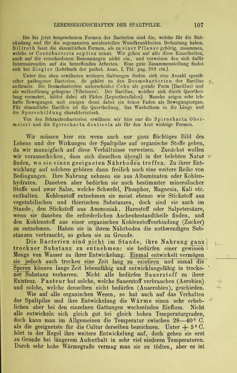 Die bis jetzt ^besprochenen Formen der Bacterien sind die, welche für die Ent- zündung und für die sogenannten accidentellen Wundkrankheiten Bedeutung haben. Billroth fasst die sämmtliehen Formen, als zu einer Pflanze gehörig, zusammen, welche er Coccobacteria septica nennt. Wir gehen auf alle diese Einzelheiten, auch auf die verschiedenen Benennungen nicht ein, und verweisen den sich dafür Interessirenden auf die betreffenden Arbeiten. Eine gute Zusammenstellung findet sich bei Ziegler (Lehrbuch der pathol. Anat. I. Thl. pag. 292 etc.). Unter den oben erwähnten weiteren Gattungen finden sich eine Anzahl specifi- scher pathogener Bacterien. So gehört zu den Desmobacterien der Bacillus ^ anthracis. Die Desmobacterien unterscheidet Cohn als gerade Form (Bacillus) und als wellenförmig gebogene (Vibrionen). Der Bacillus, welcher sich durch Querthei- lung vermehrt, bildet dabei oft Fäden (Leptothrixfäden) Manche zeigen sehr leb- hafte Bewegungen und einigen dient dabei ein feiner Faden als Bewegungsorgan. Für sämmtliche Bacillen ist die Quertheilung, das Wachsthum in die Länge und die Sporenbildung charakteristisch. Von den Schraubenbacterien erwähnen wir hier nur die Spirochaeta Ober- meieri und die Spirochaeta denticola als für den Arzt wichtige Formen. Wir müssen hier ein wenn auch nur ganz flüchtiges Bild des Lebens und der Wirkungen der Spaltpilze auf organische Stoffe geben, da wir mannigfach auf diese Verhältnisse verweisen. Zunächst wollen wir vorausschicken, dass sich dieselben überall in der belebten Natur V finden, wo sie einen geeigneten Nährboden treffen. Zu ihrer Ent- wicklung auf solchem gehören dann freilich noch eine weitere Reihe von Bedingungen. Ihre Nahrung nehmen sie aus Albuminaten oder Kohlen- hydraten. Daneben aber bedürfen sie noch bestimmter mineralischer Stoffe und zwar Salze, welche Schwefel, Phosphor, Magnesia, Kali etc. enthalten. Kohlenstoff entnehmen sie meist ebenso wie Stickstoff aus vegetabilischen und thierischen Substanzen, doch sind sie auch im Stande, den Stickstoff aus Ammoniak, Harnstoff oder Salpetersäure, wenn sie daneben die erforderlichen Aschenbestandtheile finden, und den Kohlenstoff aus einer organischen Kohlenstoffverbindung (Zucker) zu entnehmen. Haben sie in ihrem Nährboden die nothwendigen Sub- stanzen verbraucht, so gehen sie zu Grunde. Die Bacterien sind nicht im Stande, ihre Nahrung ganz trockner Substanz zu entnehmen: sie bedürfen einer gewissen Menge von Wasser zu ihrer Entwickelung. Einmal entwickelt vermögen sie jedoch auch trocken eine Zeit lang zu existiren und zumal die Sporen können lange Zeit lebensfähig und entwicklungsfähig in trocke- ner Substanz verharren. Nicht alle bedürfen Sauerstoff zu ihrer Existenz. Pasteur hat solche, welche Sauerstoff verbrauchen (Aerobien) und solche, welche denselben nicht bedürfen (Anaerobien), geschieden. Wie auf alle organischen Wesen, so hat auch auf das Verhalten der Spaltpilze und ihre Entwickelung die Wärme einen sehr erheb- lichen aber bei den einzelnen Gattungen wechselnden Einfluss. Nicht alle entwickeln sich gleich gut bei gleich hohen Temperaturgraden, doch kann man im Allgemeinen die Temperatur zwischen 28—40° C. als die geeignetste für die Cultur derselben bezeichnen. Unter -f- 5° 0. hört in der Regel ihre weitere Entwickelung auf, doch gehen sie erst zu Grunde bei längerem Aufenthalt in sehr viel niederen Temperaturen. Durch sehr hohe Wärmegrade vermag man sie zu tödten, aber es ist