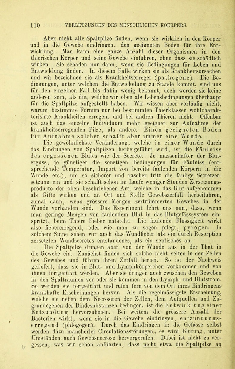 Aber nicht alle Spaltpilze finden, wenn sie wirklich in den Körper und in die Gewebe eindringen, den geeigneten Boden für ihre Ent- wicklung. Man kann eine ganze Anzahl dieser Organismen in den thierischen Körper und seine Gewebe einführen, ohne dass sie schädlich wirken. Sie schaden nur dann, wenn sie Bedingungen für Leben und Entwicklung finden. In diesem Falle wirken sie als Krankheitsursachen und wir bezeichnen sie als Krankheitserreger (pathogene). Die Be- dingungen, unter welchen die Entwickelung zu Stande kommt, sind uns für den einzelnen Fall bis dahin wenig bekannt, doch werden sie keine anderen sein, als die, welche wir oben als Lebensbedingungen überhaupt für die Spaltpilze aufgestellt haben. Wir wissen aber vorläufig nicht, warum bestimmte Formen nur bei bestimmten Thierklassen wohlcharak- terisirte Krankheiten erregen, und bei andren Thieren nicht. Offenbar ist auch das einzelne Individuum mehr geeignet zur Aufnahme der krankheitserregenden Pilze, als andere. Einen geeigneten Boden für Aufnahme solcher schafft aber immer eine Wunde. Die gewöhnlichste Veränderung, welche in einer Wunde durch das Eindringen von Spaltpilzen herbeigeführt wird, ist die FäuIniss des ergossenen Blutes wie der Secrete. Je massenhafter der Blut- erguss, je günstiger die sonstigen Bedingungen für Fäulniss (ent- sprechende Temperatur, Import von bereits faulenden Körpern in die Wunde etc.), um so sicherer und rascher tritt die faulige Secretzer- setzung ein und sie schafft schon im Laufe weniger Stunden Zersetzungs- producte der oben beschriebenen Art, welche in das Blut aufgenommen als Gifte wirken und an Ort und Stelle Gewebszerfall herbeiführen, zumal dann, wenn grössere Mengen zertrümmerten Gewebes in der Wunde vorhanden sind. Das Experiment lehrt uns nun, dass, wenn man geringe Mengen von faulendem Blut in das Blutgefässsystem ein- spritzt, beim Thiere Fieber entsteht. Die faulende Flüssigkeit wirkt also fiebererregend, oder wie man zu sagen pflegt, pyrogen. In solchem Sinne sehen wir auch das Wundfieber als ein durch Resorption zersetzten Wundsecretes entstandenes, als ein septisches an. Die Spaltpilze dringen aber von der Wunde aus in der That in die Gewebe ein. Zunächst finden sich solche nicht selten in den Zellen des Gewebes und führen ihren Zerfall herbei. So ist der Nachweis geliefert, dass sie in Blut- und Lymphkörperchen Vorkommen und von ihnen fortgeführt werden. Aber sie dringen auch zwischen den Geweben in den Spalträumen vor oder sie kommen in den Lyraph- und Blutstrom. So werden sie fortgeführt und rufen fern von dem Ort ihres Eindringens krankhafte Erscheinungen hervor. Als die regelmässigste Erscheinung, welche sie neben dem Necrosiren der Zellen, dem Aufquellen und Zu- grundegehen der Bindesubstanzen bedingen, ist die Entwicklung einer Entzündung hervorzuheben. Bei weitem die grössere Anzahl der Bacterien wirkt, wenn sie in die Gewebe eindringen, entzündungs- erregend (phlogogen). Durch das Eindringen in die Gefässe selbst werden dazu mancherlei Circulationsstörungen, es wird Blutung, unter Umständen auch Gewebsnecrose hervorgerufen. Dabei ist nicht zu ver- gessen, was wir schon anführten, dass nicht etwa die Spaltpilze an