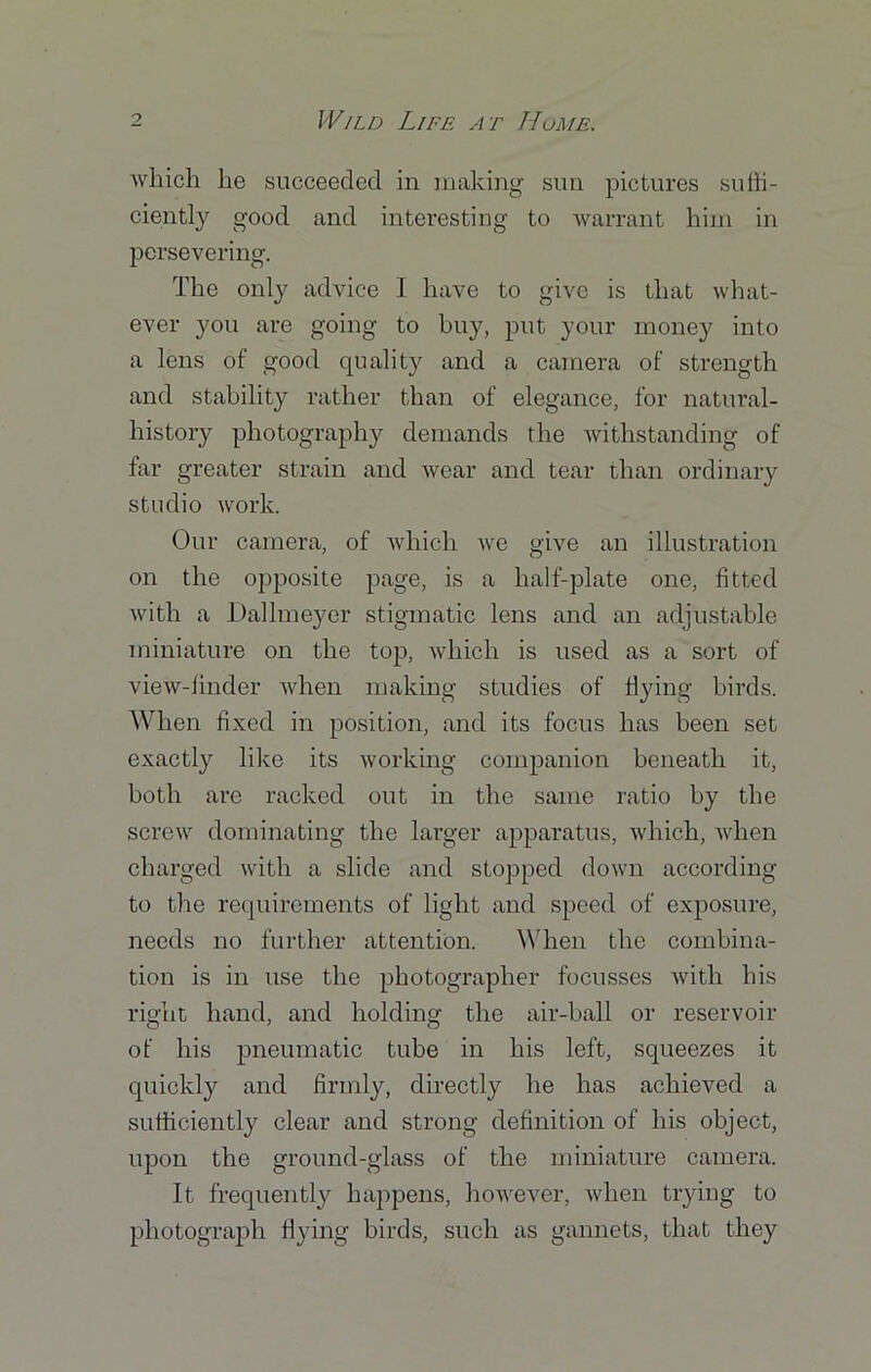 which he succeeded in making sun pictures suffi- ciently good and interesting to warrant him in persevering. The only advice I have to give is that what- ever you are going to buy, put your money into a lens of good quality and a camera of strength and stability rather than of elegance, for natural- history photography demands the withstanding of far greater strain and wear and tear than ordinary studio work. Our camera, of which we give an illustration on the opposite page, is a half-plate one, fitted with a Dallmeyer stigmatic lens and an adjustable miniature on the top, which is used as a sort of view-finder when making studies of flying birds. When fixed in position, and its focus has been set exactly like its working companion beneath it, both are racked out in the same ratio by the screw dominating the larger apparatus, which, when charged with a slide and stopped down according to the requirements of light and speed of exposure, needs no further attention. When the combina- tion is in use the photographer focusses with his right hand, and holding the air-ball or reservoir of his pneumatic tube in his left, squeezes it quickly and firmly, directly he has achieved a sufficiently clear and strong definition of his object, upon the ground-glass of the miniature camera. It frequently happens, however, when trying to photograph flying birds, such as gannets, that they