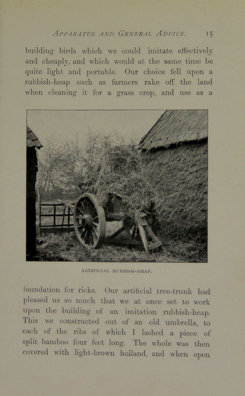 building birds which we could imitate effectively and cheaply, and which would at the same time be quite light and portable. Our choice fell upon a rubbish-heap such as farmers rake off the land when cleaning it for a grass crop, and use as a A RTI I'J Cl AL KU HJilSH - H BAP. foundation for ricks. Our artificial tree-trunk had pleased us so much that we at once set to work upon the building of an imitation rubbish-heap. 1 his we constructed out of an old umbrella, to each of the ribs of which I lashed a piece of split bamboo four feet long. The whole was then covered with light-brown holland, and when open