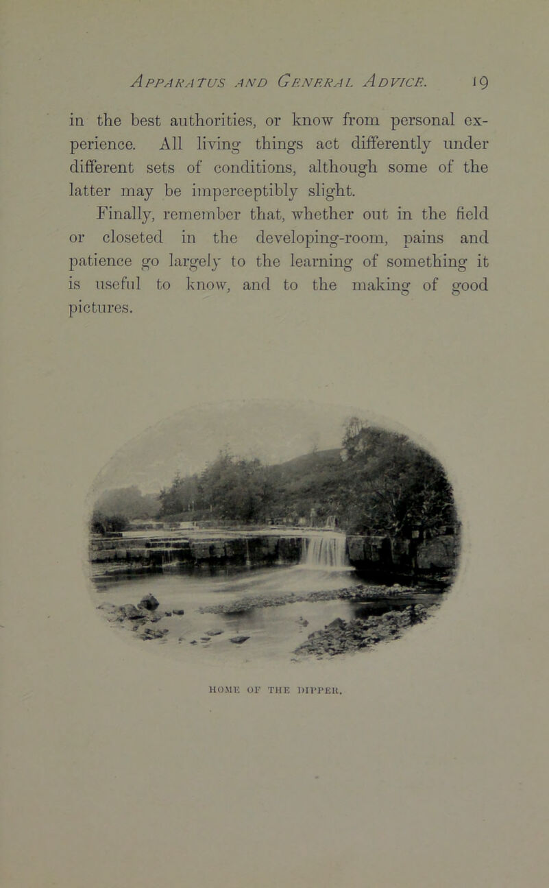 in the best authorities, or know from personal ex- perience. All living things act differently under different sets of conditions, although some of the latter may be imperceptibly slight. Finally, remember that, whether out in the field or closeted in the developing-room, pains and patience go largely to the learning of something it is useful to know, and to the making of good pictures. HOME OF THE DIFFER.