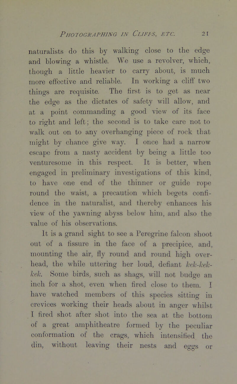 naturalists do this by walking close to the edge and blowing a whistle. We use a revolver, which, though a little heavier to carry about, is much more effective and reliable. In working a cliff two things are requisite. The first is to get as near the edge as the dictates of safety will allow, and at a point commanding a good view of its face to right and left; the second is to take care not to walk out on to any overhanging piece of rock that might by chance give way. I once had a narrow escape from a nasty accident by being a little too venturesome in this respect. It is better, when engaged in preliminary investigations of this kind, to have one end of the thinner or guide rope round the waist, a precaution which begets confi- dence in the naturalist, and thereby enhances his view of the yawning abyss below him, and also the value of his observations. It is a grand sight to see a Peregrine falcon shoot out of a fissure in the face of a precipice, and, mounting the air, fly round and round high over- head, the while uttering her loud, defiant kek-kelc- kek. Some birds, such as shags, will not budge an inch for a shot, even when fired close to them. I have watched members of this species sitting in crevices working their heads about in anger whilst I fired shot after shot into the sea at the bottom of a great amphitheatre formed by the peculiar conformation of the crags, which intensified the din, without leaving their nests and eggs or