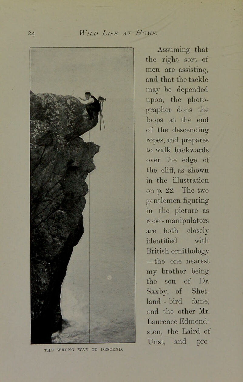 Assuming that the right sort of men are assisting, and that the tackle may be depended upon, the photo- grapher dons the loops at the end of the descending ropes, and prepares to walk backwards over the edge of the cliff, as shown in the illustration on p. 22. The two gentlemen figuring in the picture as rope - manipulators are both closely identified with British ornithology —the one nearest my brother being the son of Dr. Saxby, of Shet- land - bird fame, and the other Mr. Laurence Edmond- ston, the Laird of Unst, and pro-