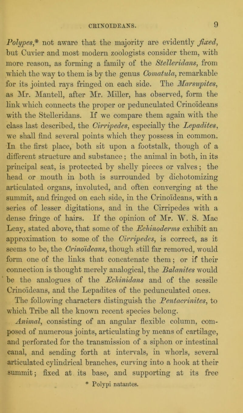 CRLSOIDEANS. Polypes,* not aware that the majority are evidently fixed, hut Cuvier and most modern zoologists consider them, with more reason, as forming a family of the Stellerulans, from which the way to them is by the genus Comatula, remarkable for its jointed rays fringed on each side. The Marsupites, as Mr. Mantell, after Mr. Miller, has observed, form the link which connects the proper or pedunculated Crinoideans with the Stelleridans. If we compare them again with the class last described, the Cirripedes, especially the Lepadites, we shall find several points which they possess in common. In the first place, both sit upon a footstalk, though of a different structure and substance; the animal in both, in its principal seat, is protected by shelly pieces or valves; the head or mouth in both is surrounded by dichotomizing articulated organs, involuted, and often converging at the summit, and fringed on each side, in the Crinoideans, with a series of lesser digitations, and in the Cirripedes with a dense fringe of hairs. If the opinion of Mr. W. S. Mac Leay, stated above, that some of the Echi/noderms exhibit an approximation to some of the Cirripedes, is correct, as it seems to be, the Crinoideans, though still far removed, would form one of the links that concatenate them; or if their connection is thought merely analogical, the Balanites would be the analogues of the Bchinidans and of the sessile Crinoideans, and the Lepadites of the pedunculated ones. The following characters distinguish the Pentacrinites, to which Tribe all the known recent species belong. Animal, consisting of an angular flexible column, com- posed of numerous joints, articulating by means of cartilage, and perforated for the transmission of a siphon or intestinal canal, and sending forth at intervals, in whorls, several articulated cylindrical branches, curving into a hook at their summit; fixed at its base, and supporting at its free * Polypi natantes.